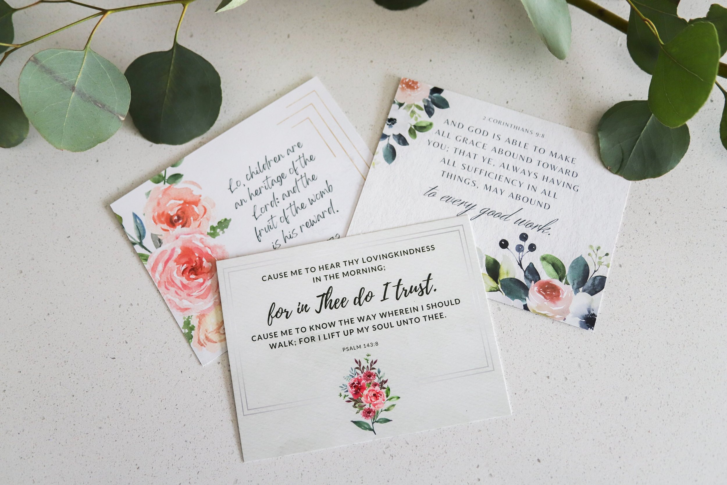 https://i.etsystatic.com/23183617/r/il/0d369f/4818217334/il_fullxfull.4818217334_mirq.jpg