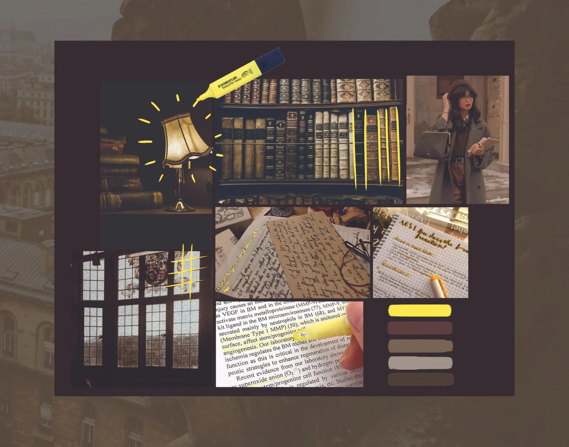 design apparel portfolio_8.jpg
