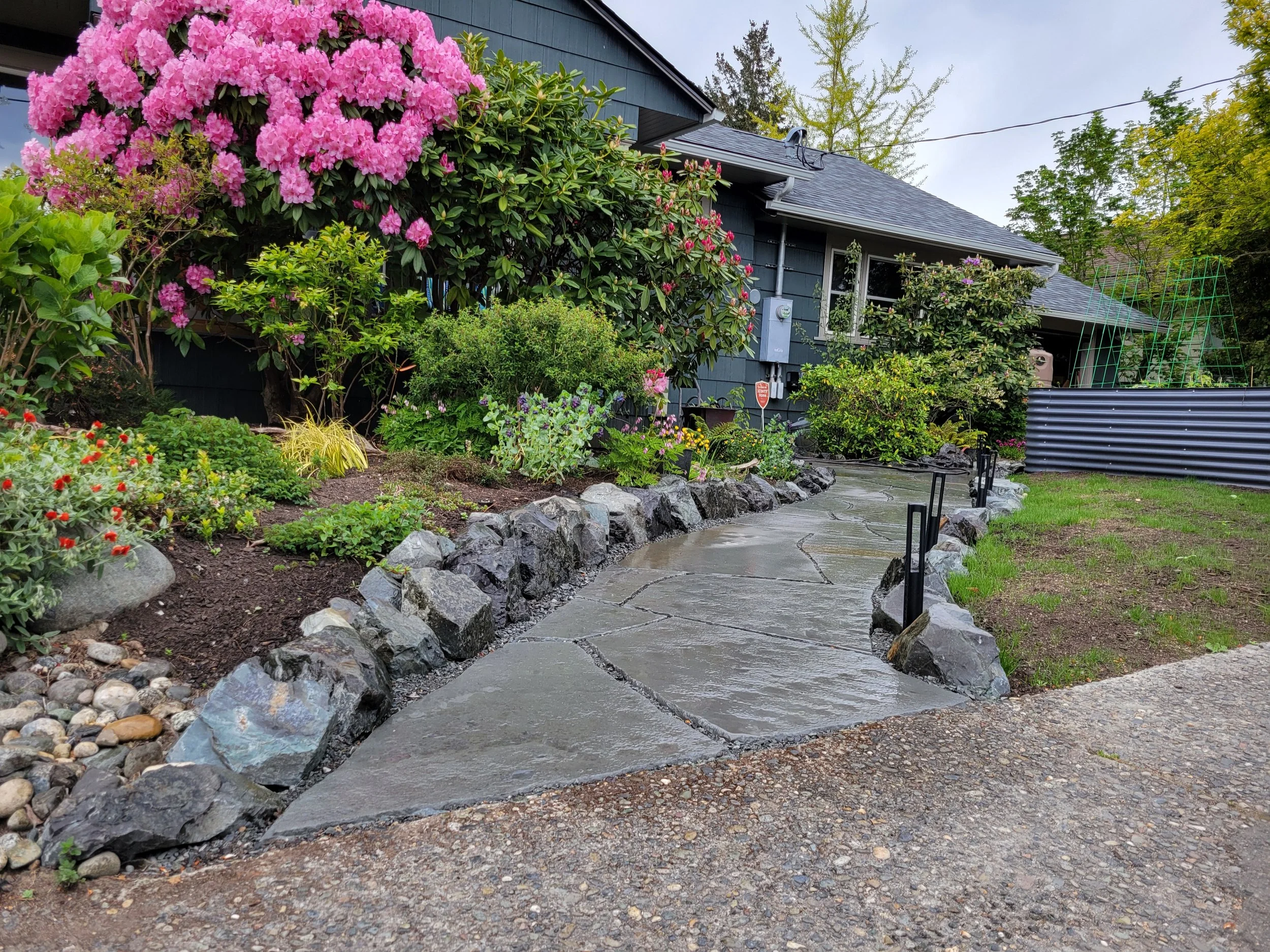 A stone pathway leading to a house, bordered by lush green plants and pink flowering shrubs, with a dark blue house in the background, some small garden lights along the path, and a metal fence on the right side.