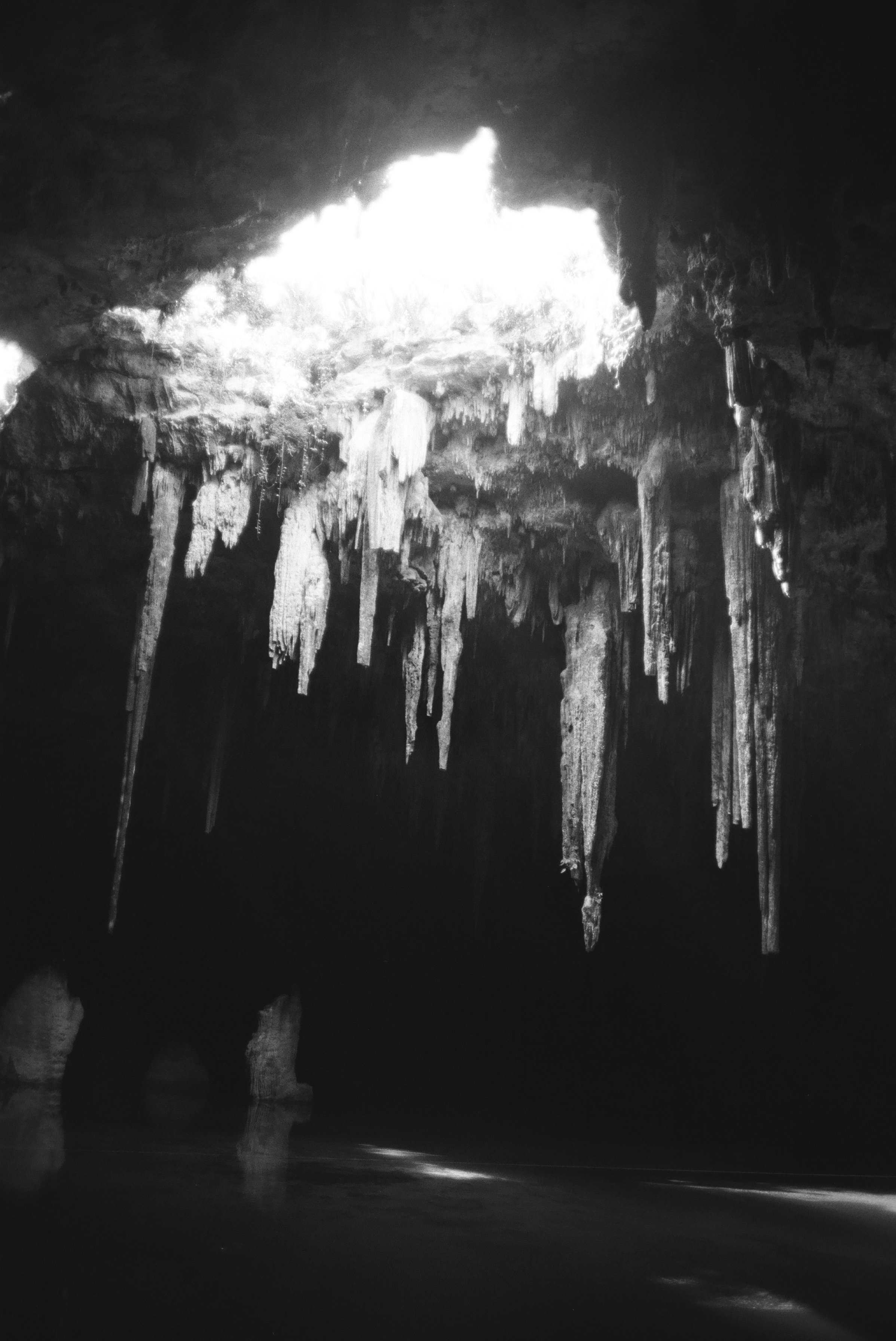 (2022) 35mm. Yucatan, Mexico