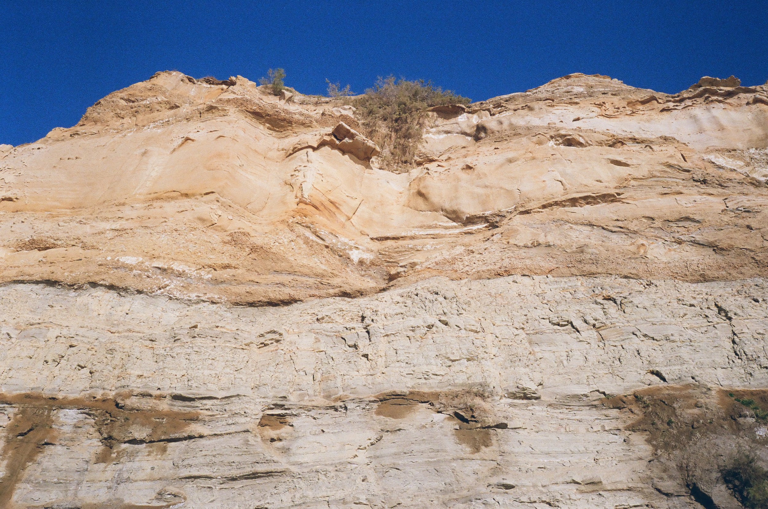 (2019) 35mm. San Diego, CA