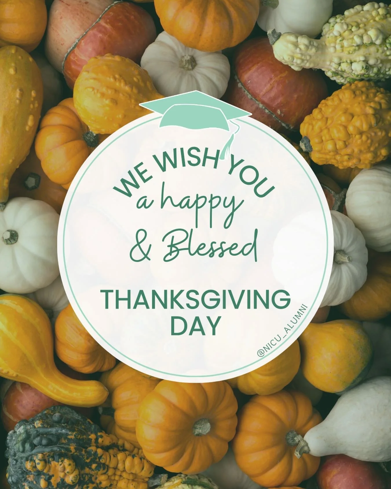 Today, we&rsquo;re pausing to reflect on the little moments, the big milestones, and the community that makes it all possible.

Whether you&rsquo;re celebrating at a full table or holding space for a quieter kind of gratitude this year, we want you t