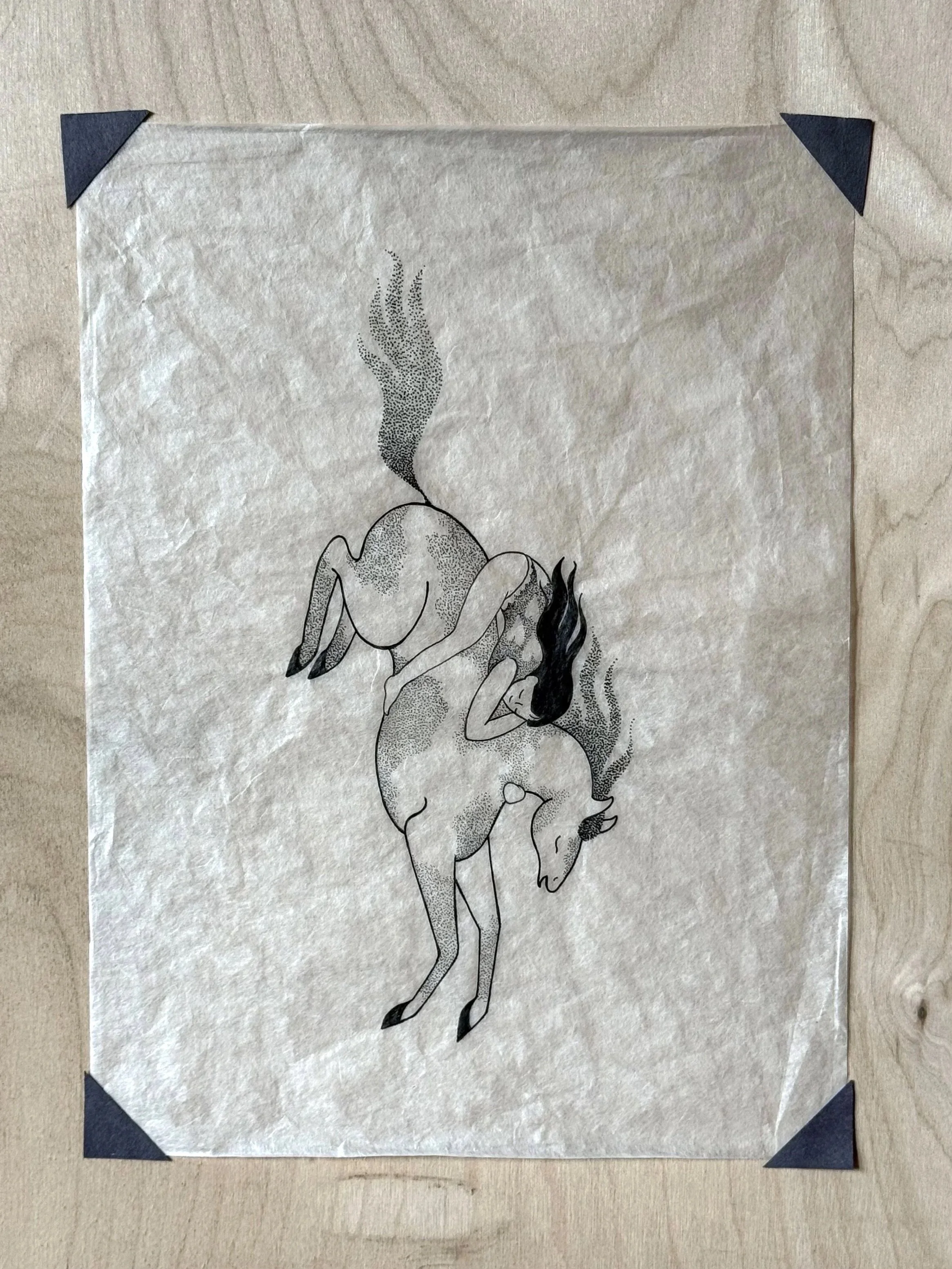 2026_Ink_Horse%2BGirl_1D.jpg