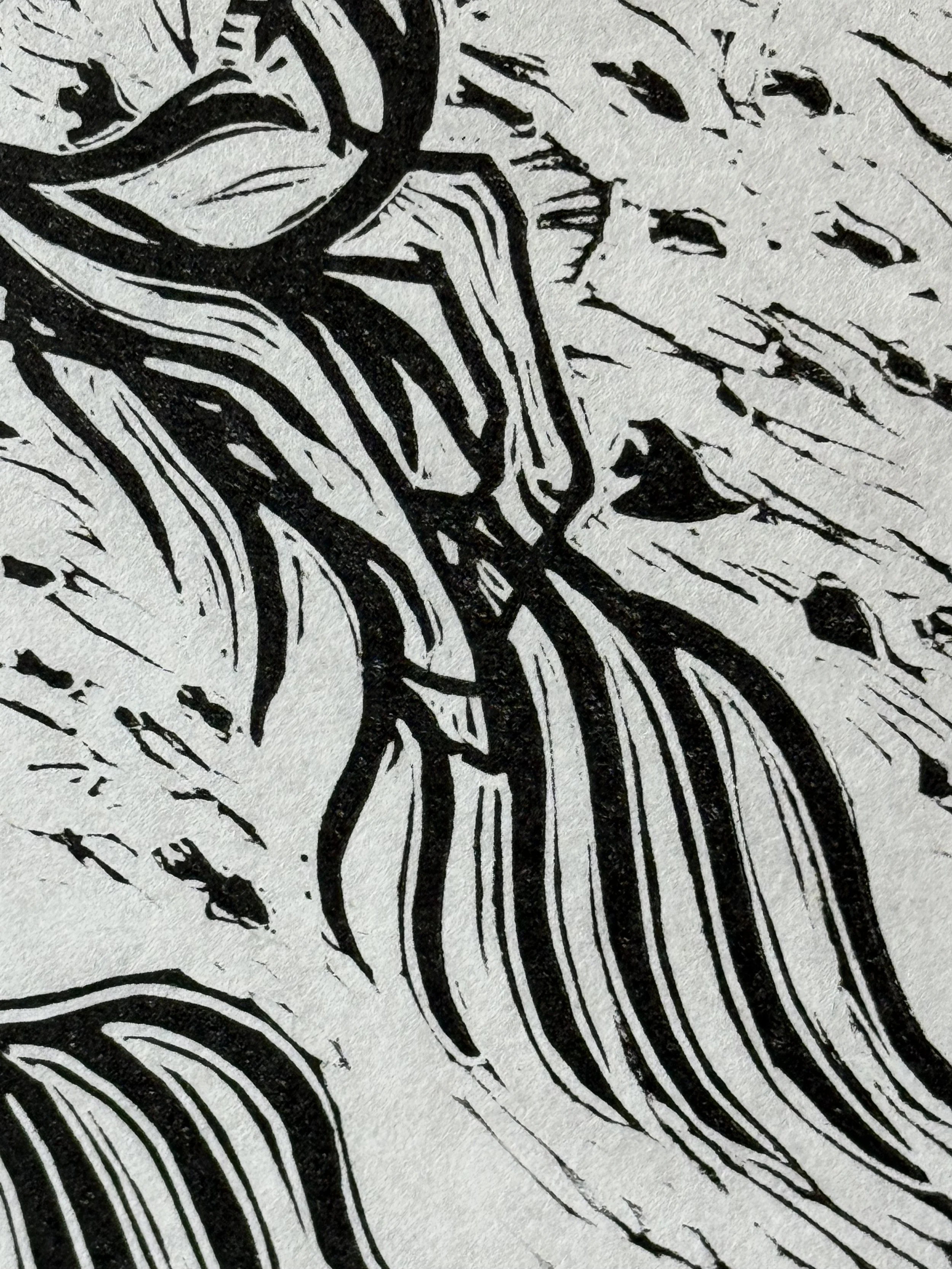 2026_Print_Linocut Coral 1C.jpeg