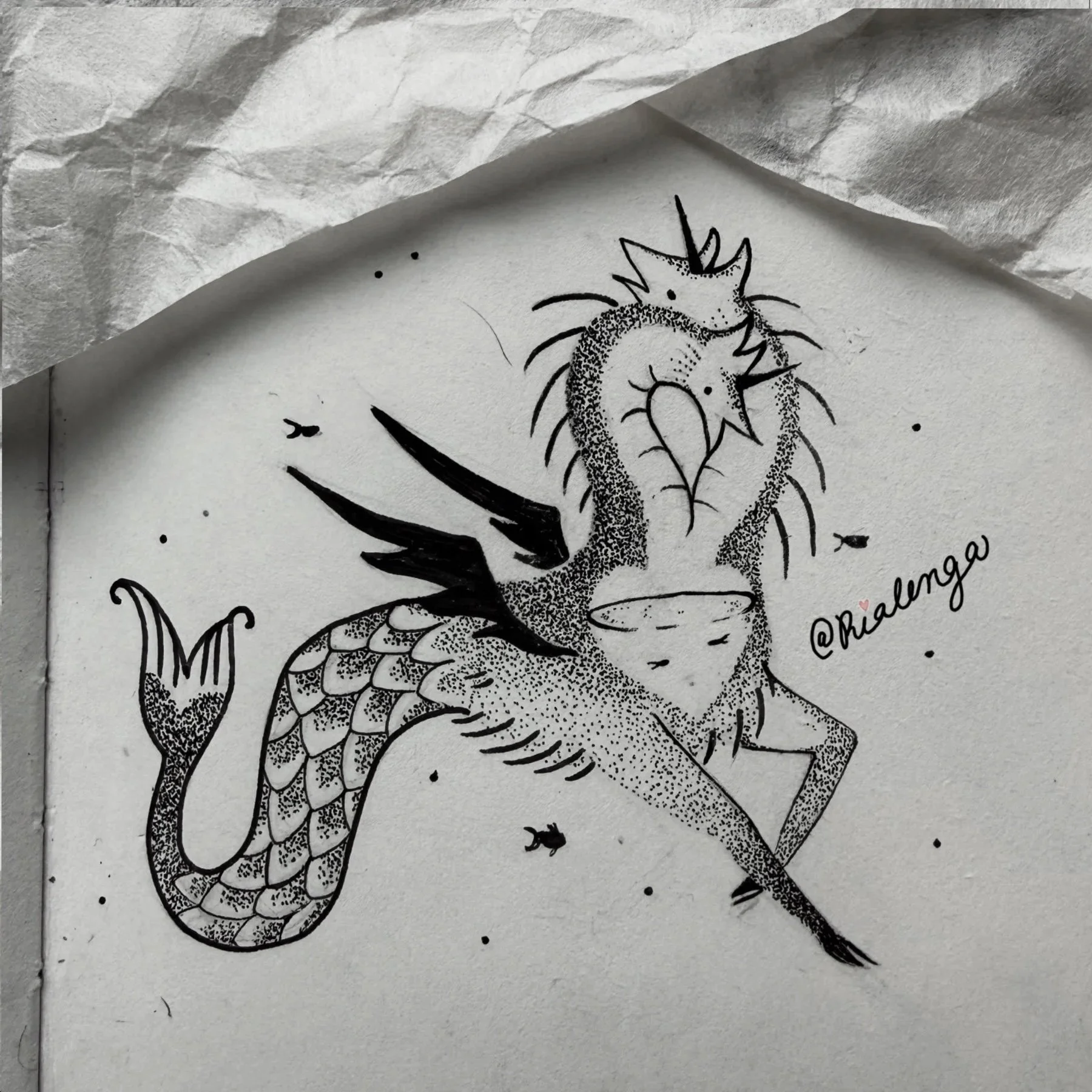 Rialenga Flash 7.jpg