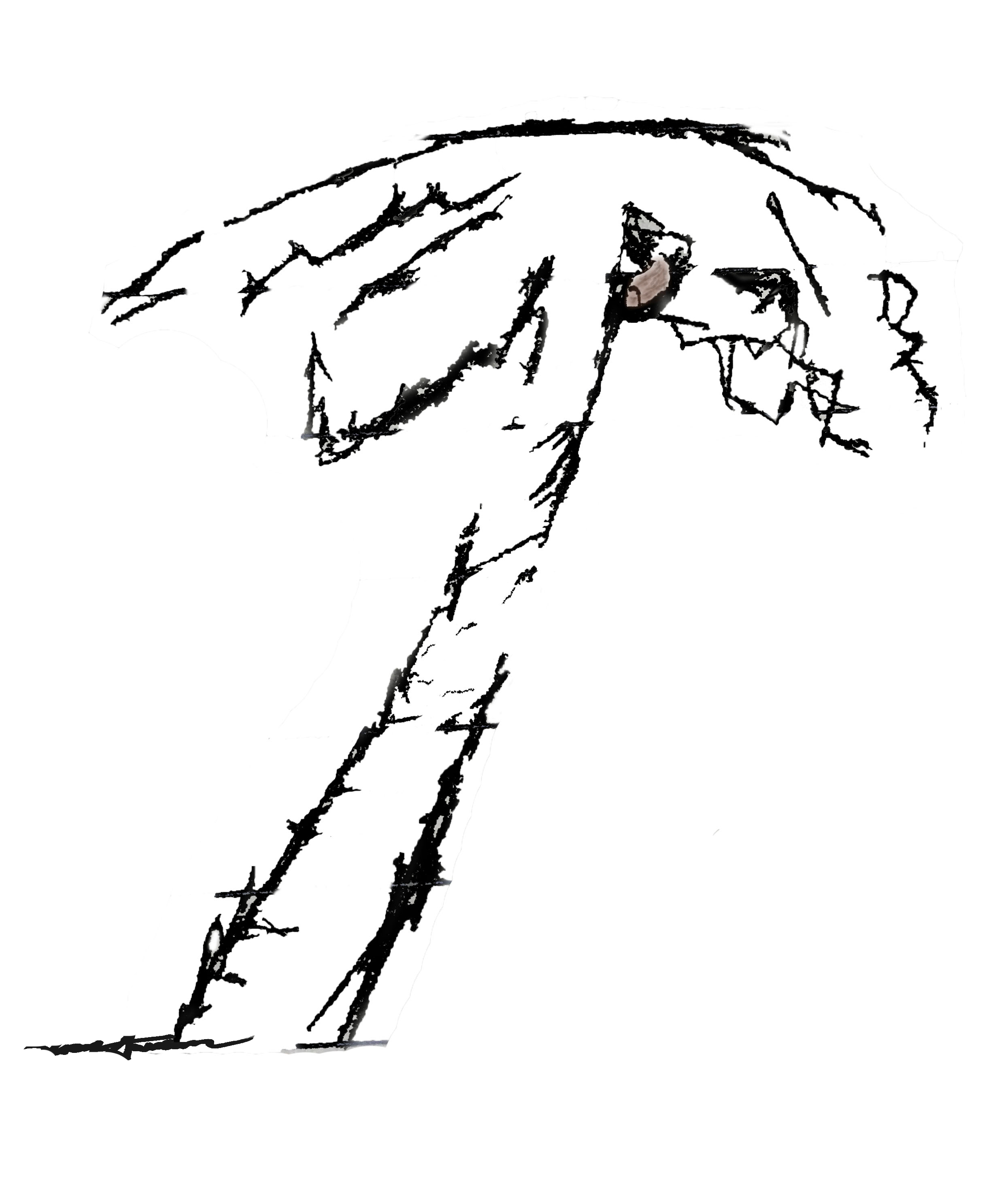 Palm tree no sig.png