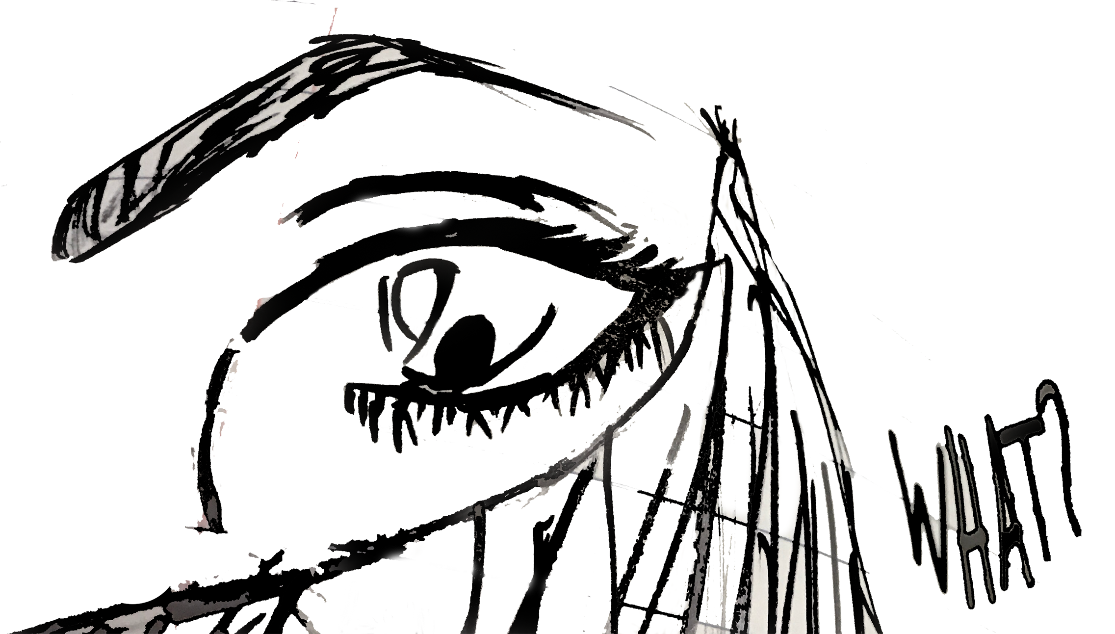 veiled face size.png