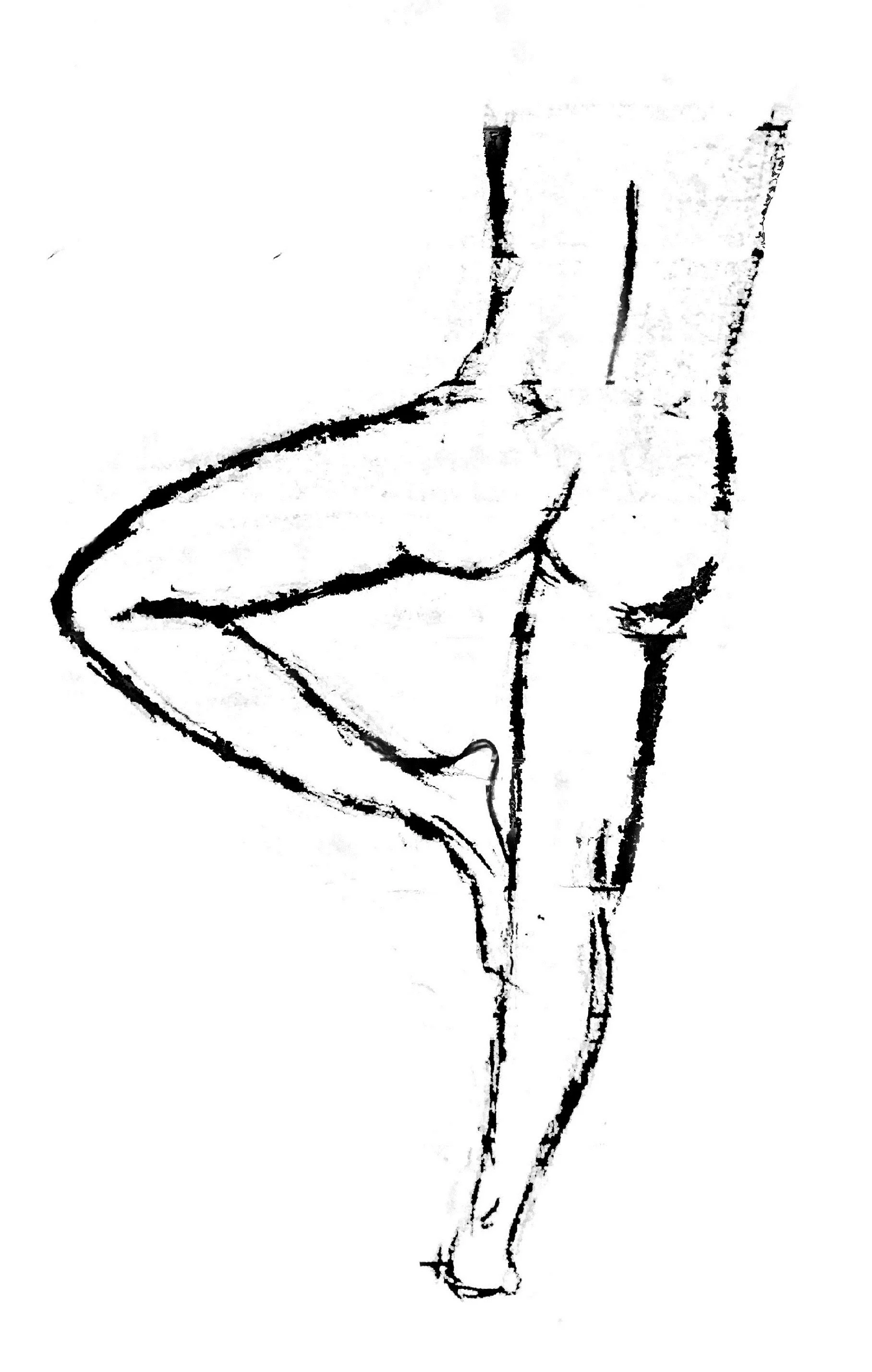 Yoga stance 2.jpg