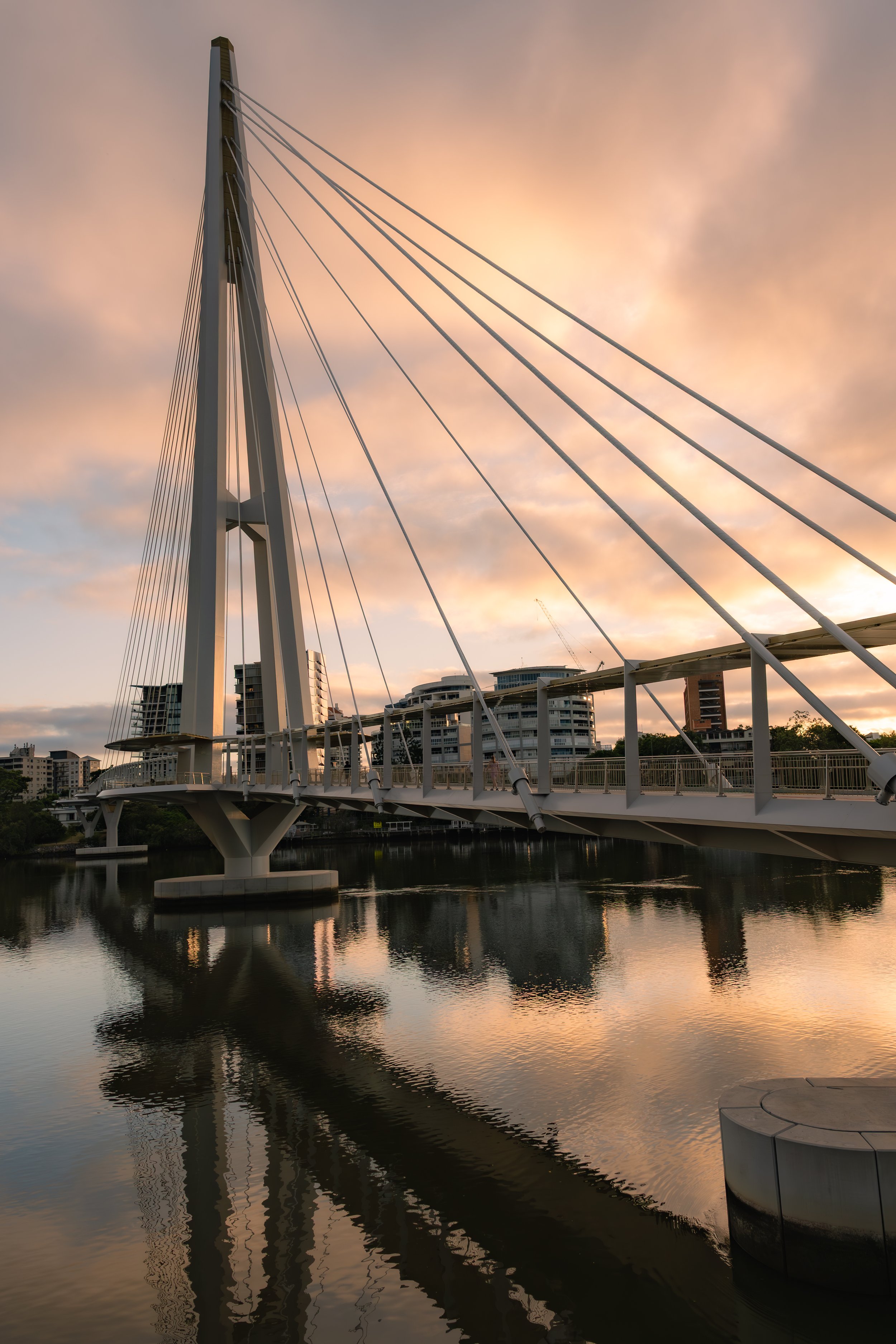 gardenspointbridgesunrise (1 of 1).jpg