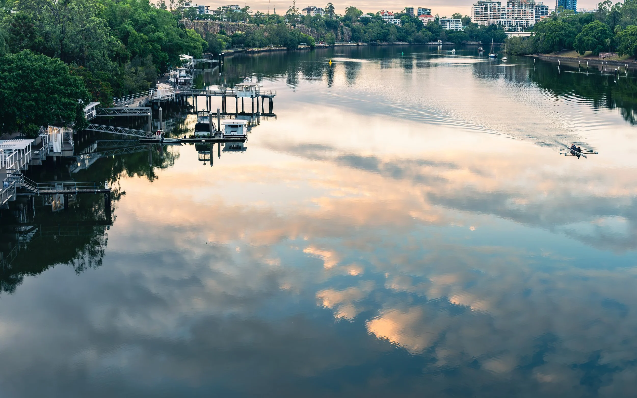 brisbanerowers2 (1 of 1).jpg