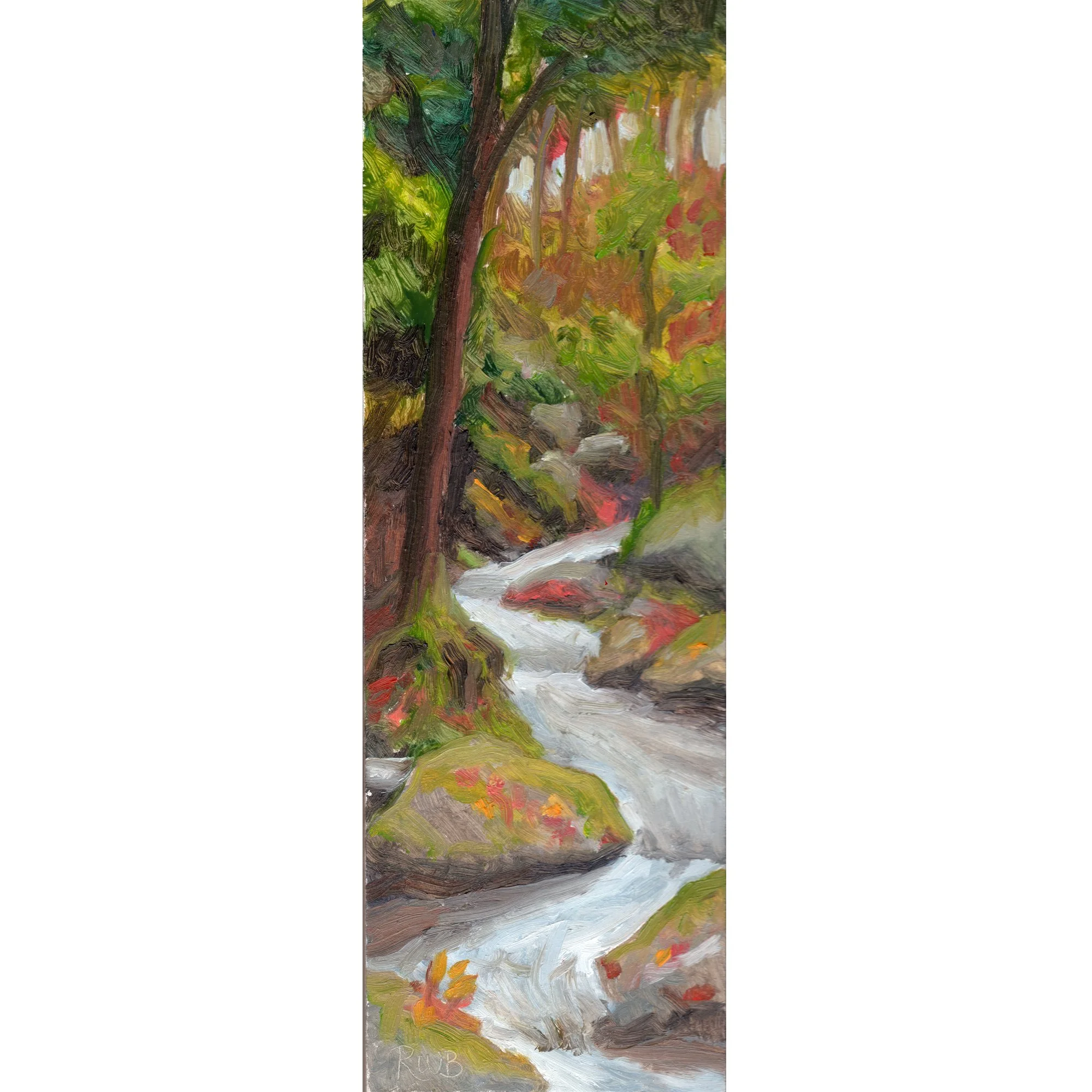 windign river.jpg