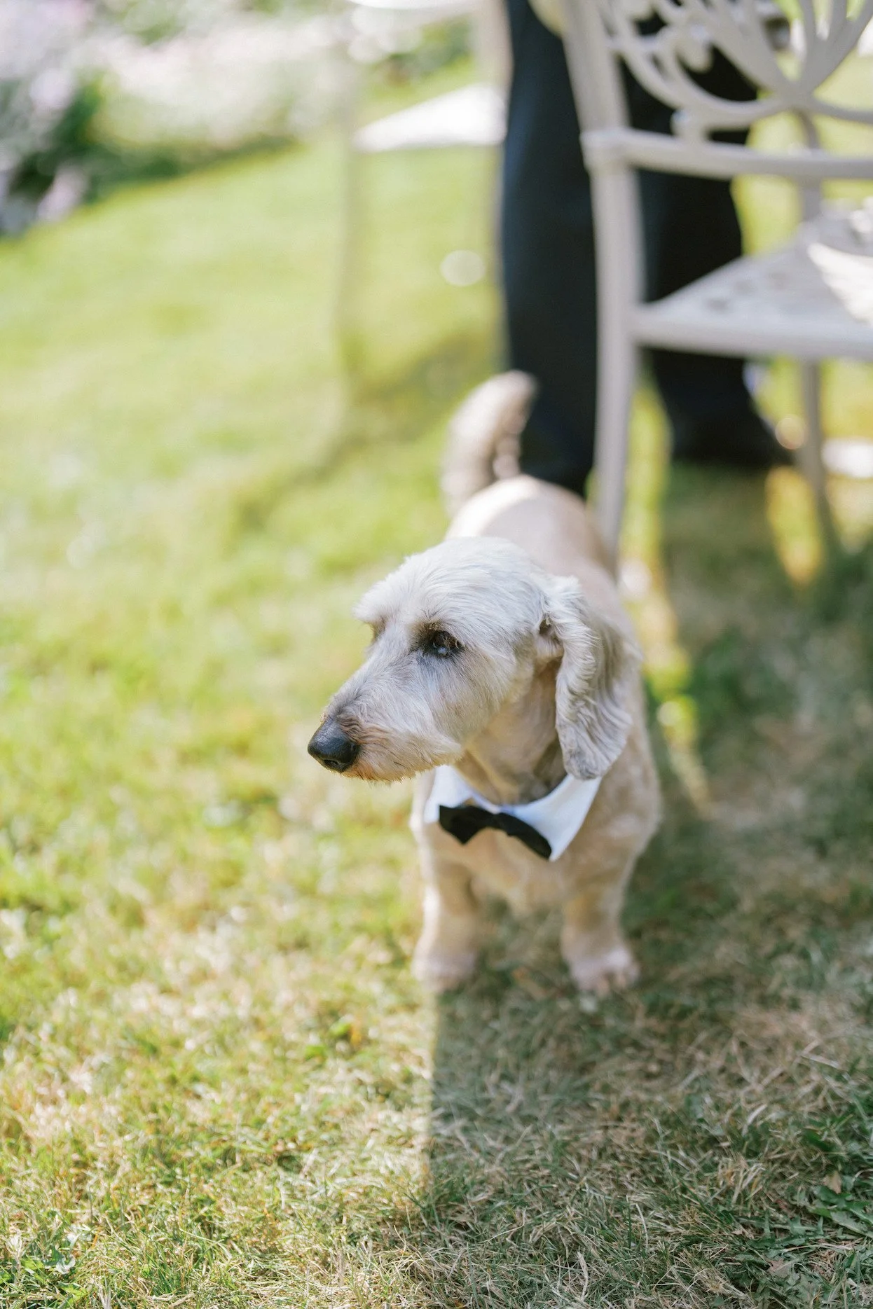 a-s-ireland-wedding-by-ireland-wedding-photographers-wonder-and-magic-393.jpg
