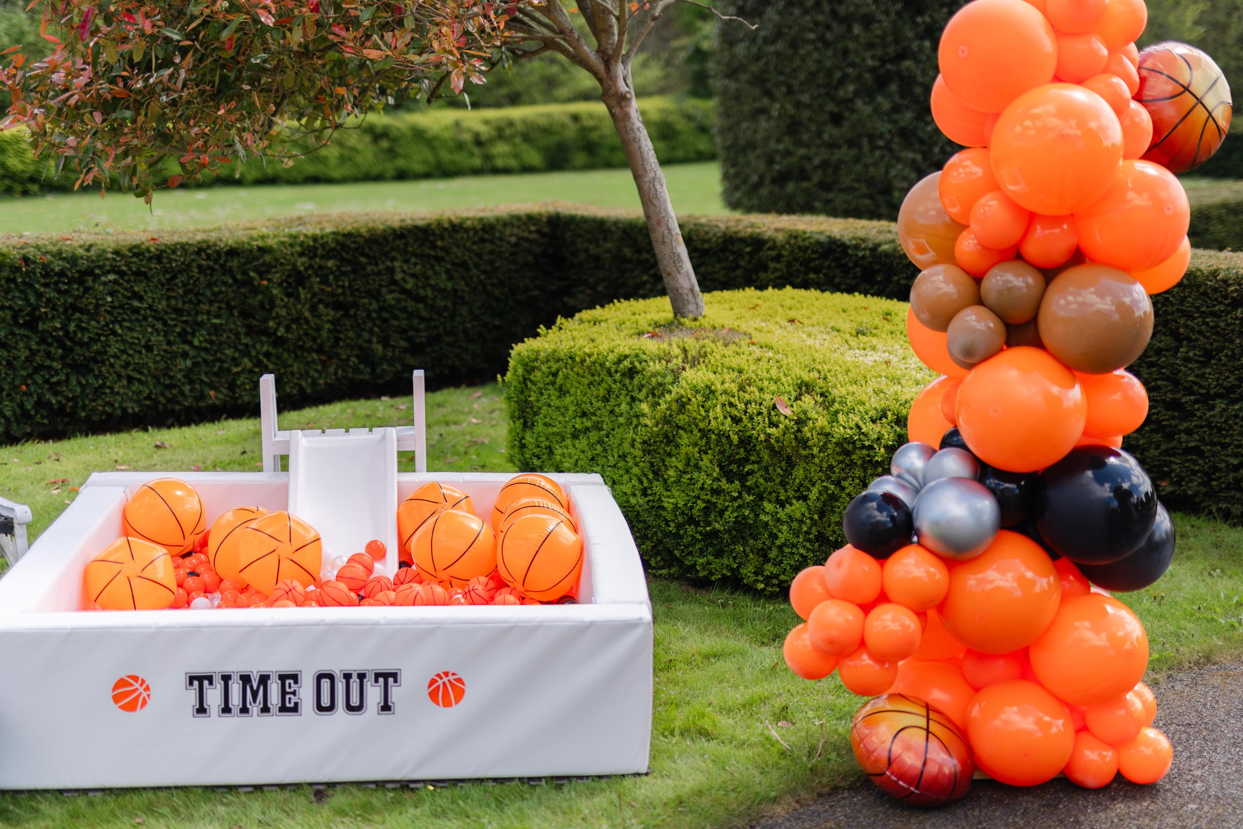 AWE- Palmerstown60.jpg