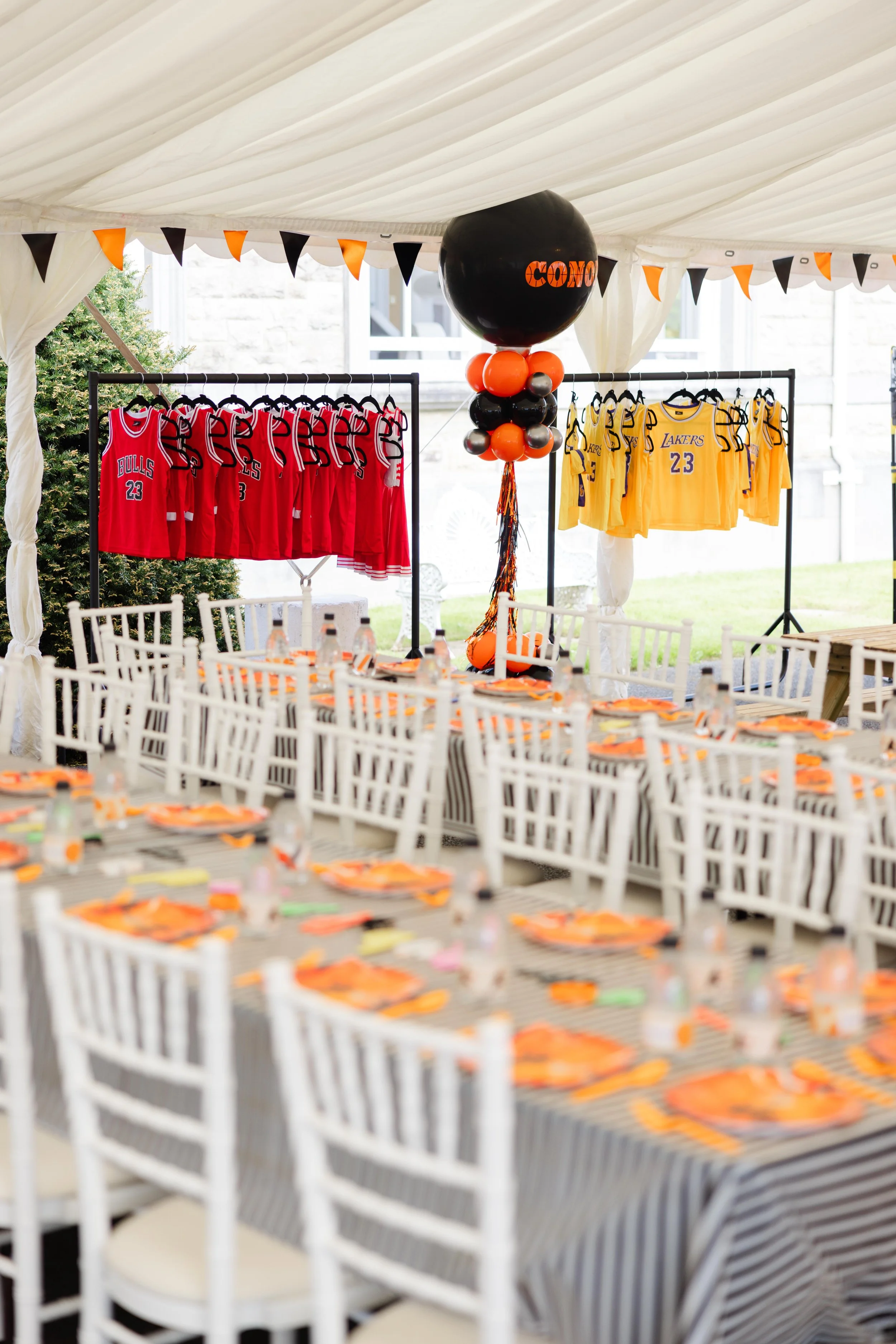 AWE- Palmerstown51.jpg