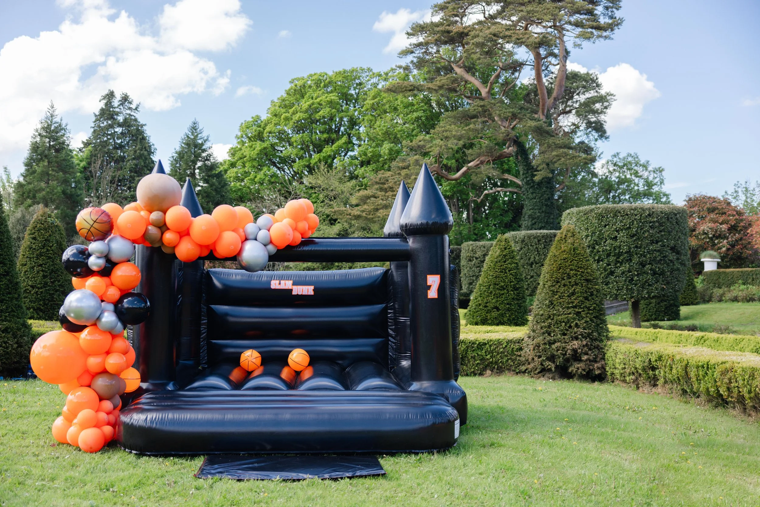 AWE- Palmerstown41.jpg