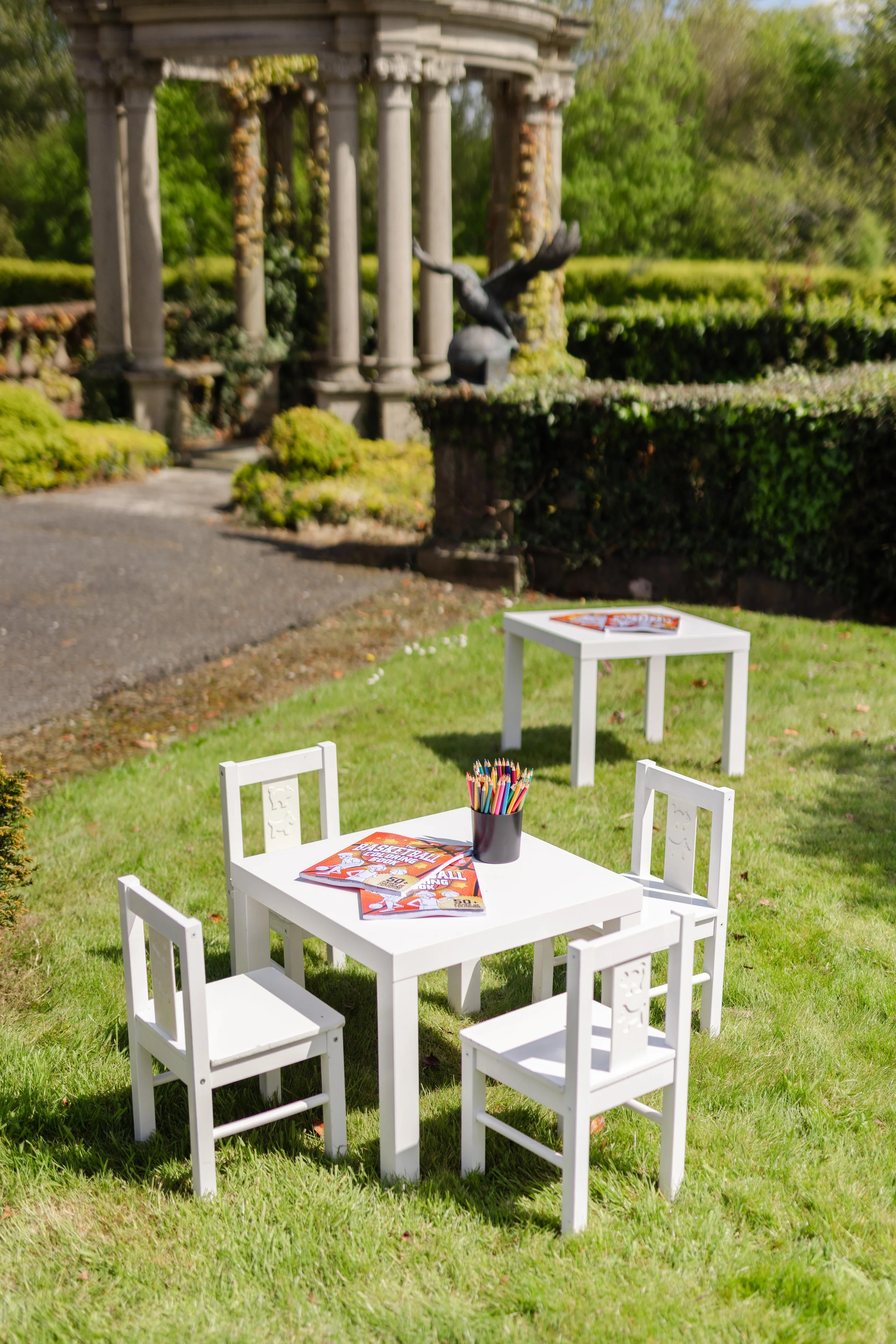 AWE- Palmerstown40.jpg