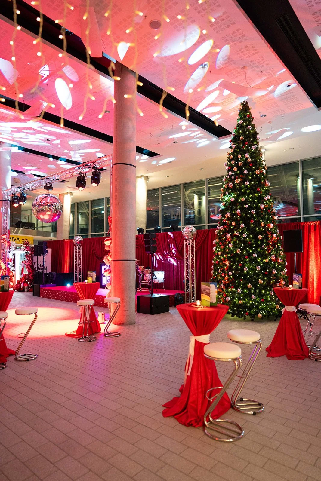 Festive Christmas at The Aviva Stadium