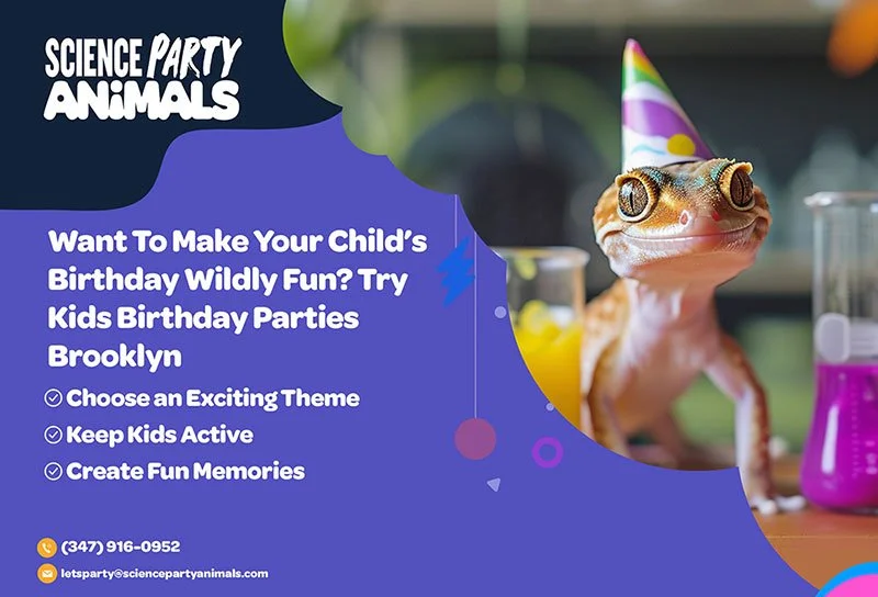 Want To Make Your Child’s Birthday Wildly Fun? Try Kids Birthday Parties Brooklyn