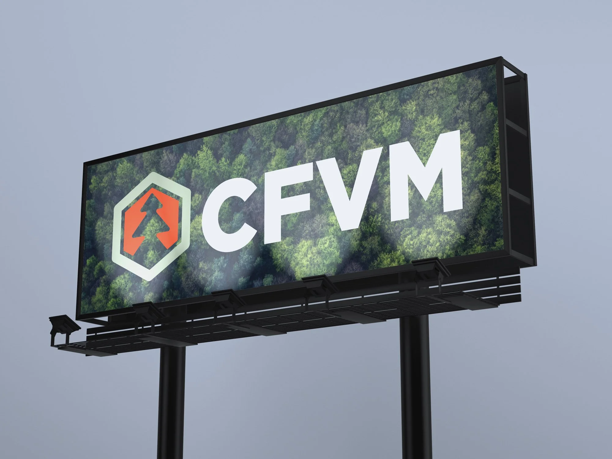 cvm.jpg