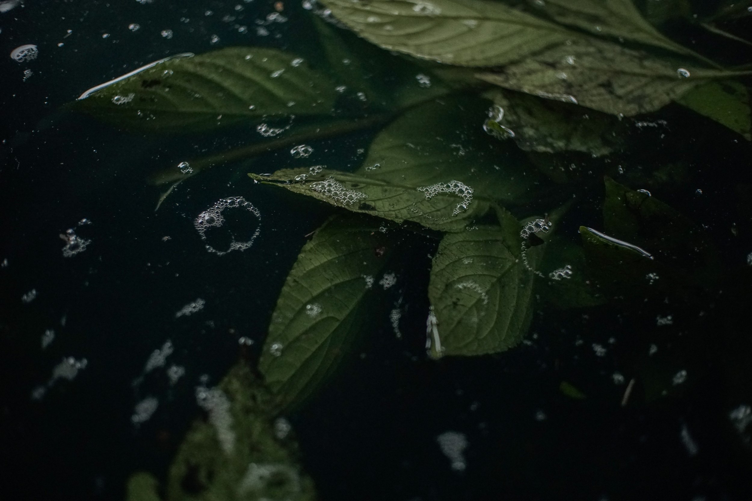 Natural materials for a better world