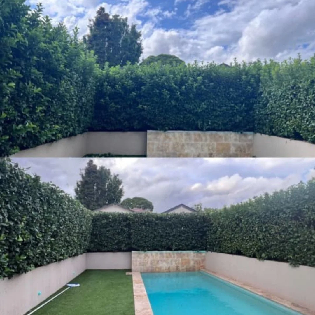 Nath Front B&Axcf.jpg