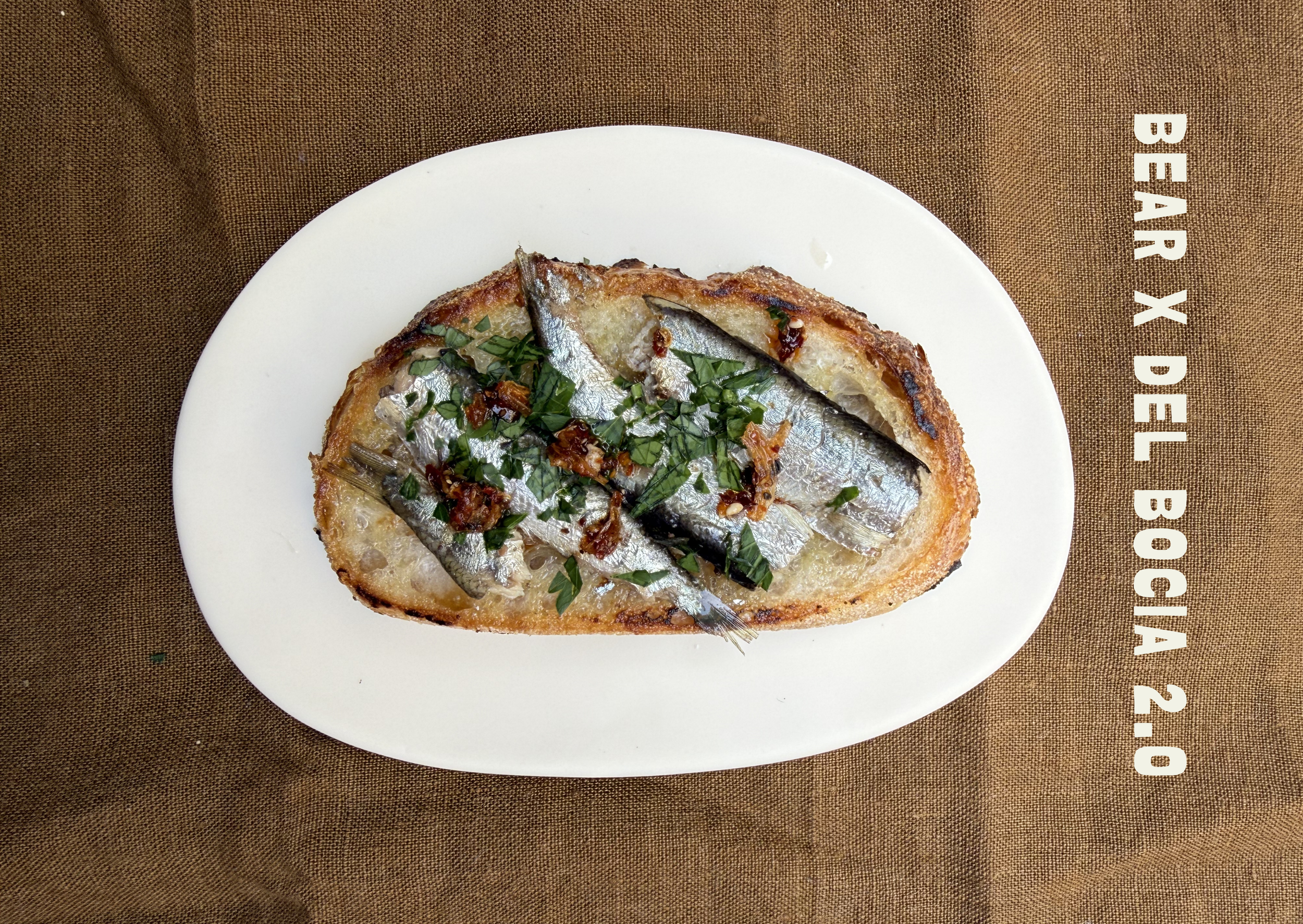 BEAR X Del Bocia 2.0