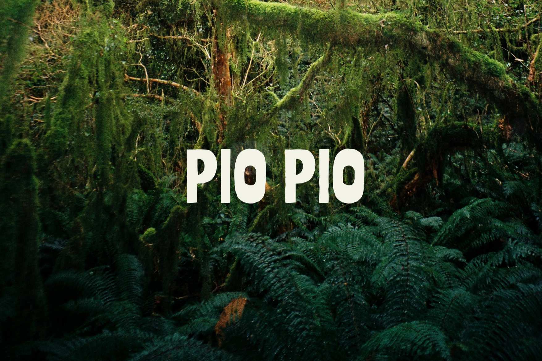 PIO PIO - Piopiotahi / Milford Sound