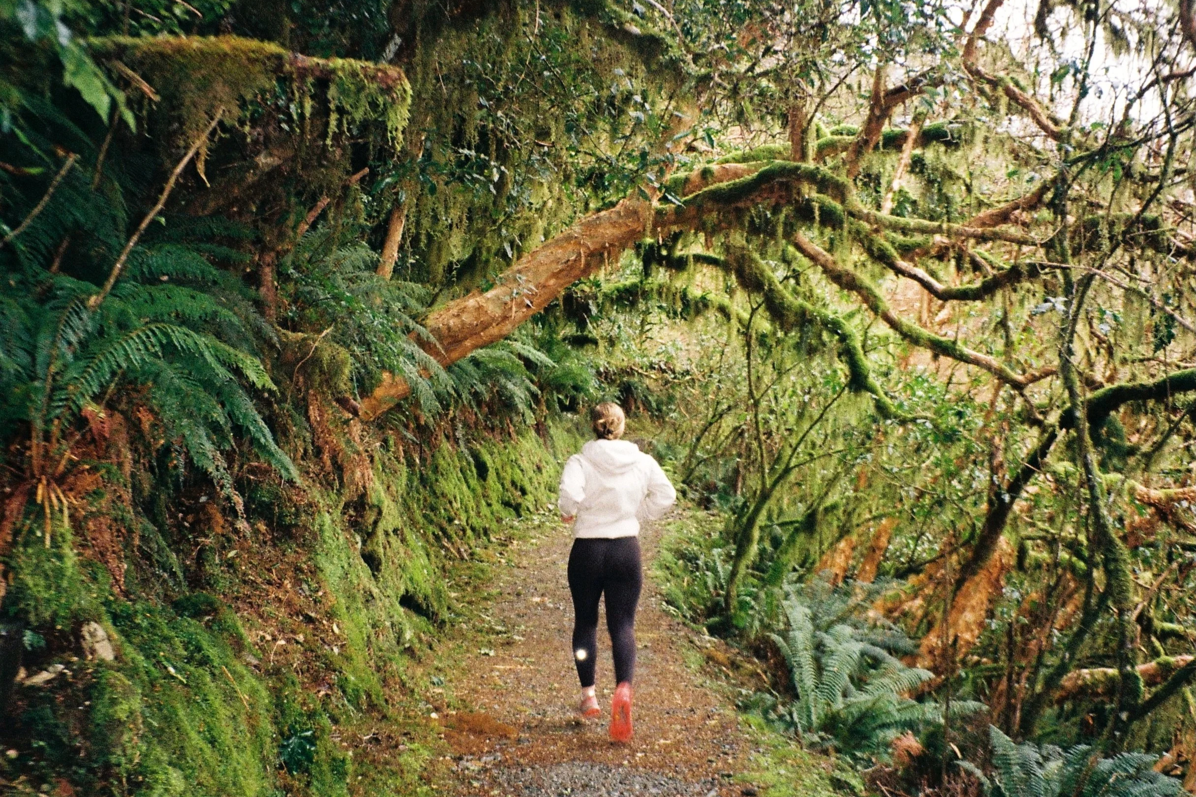 Key Summit Track - Piopiotahi / Milford Sound