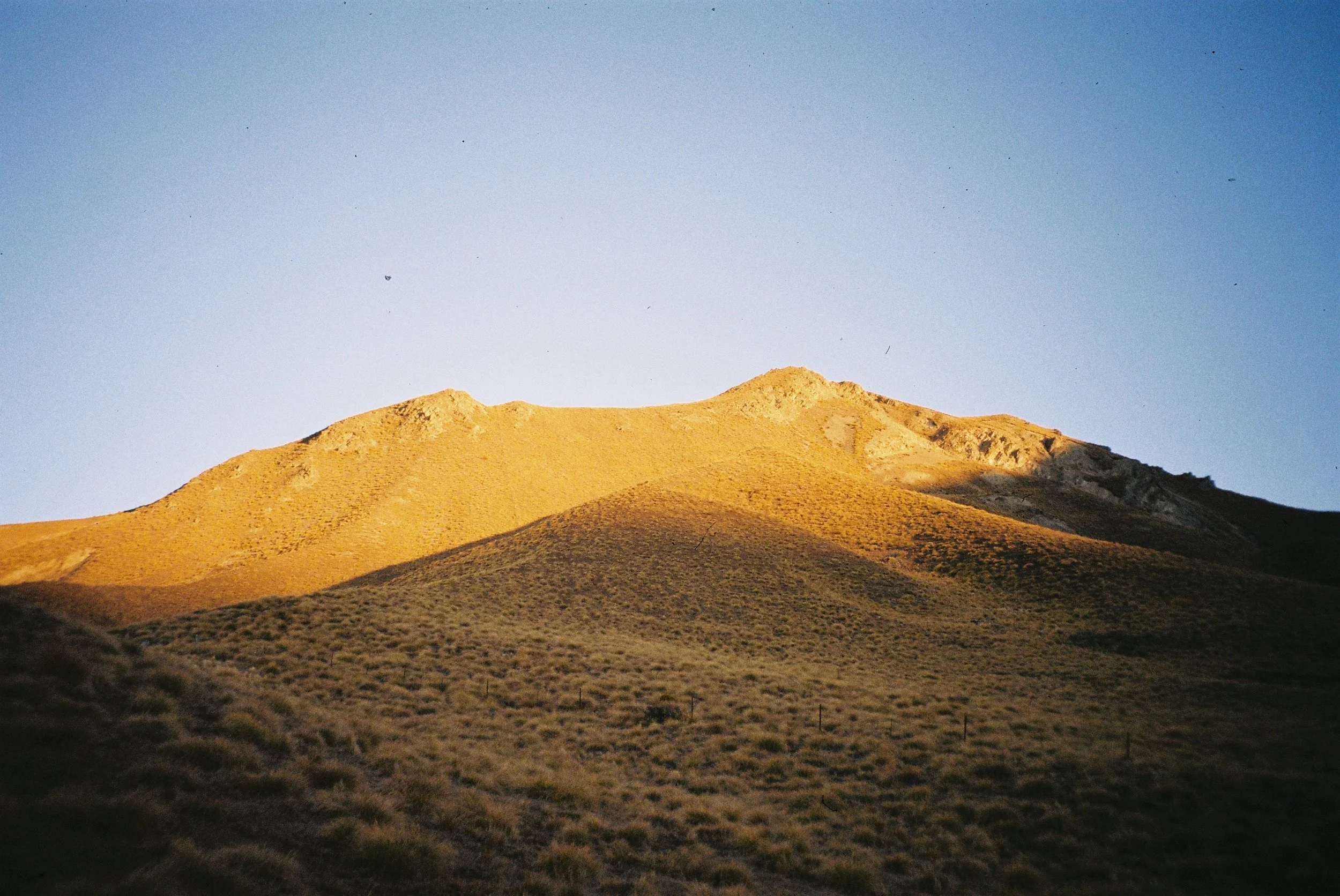 The Long Way Around - BEAR’s Guide to New Zealand’s South Island