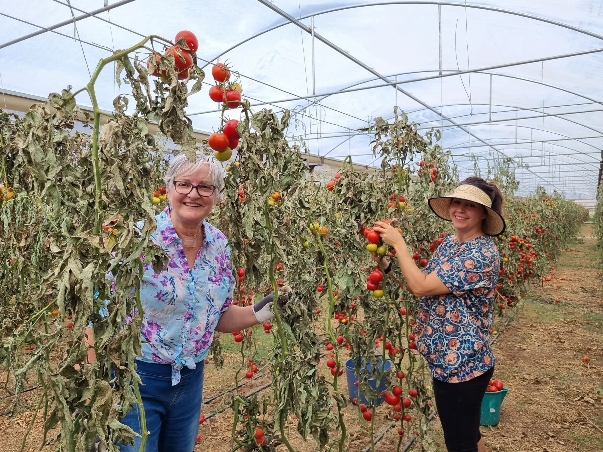 2025: A Fruitful Year