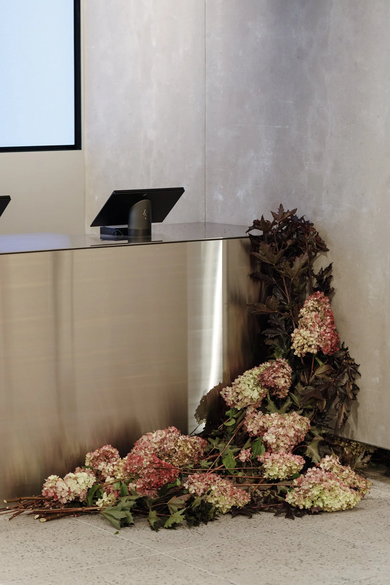 Glassons Rundle Mall Glassons, Rundle Mall — Studio Perry