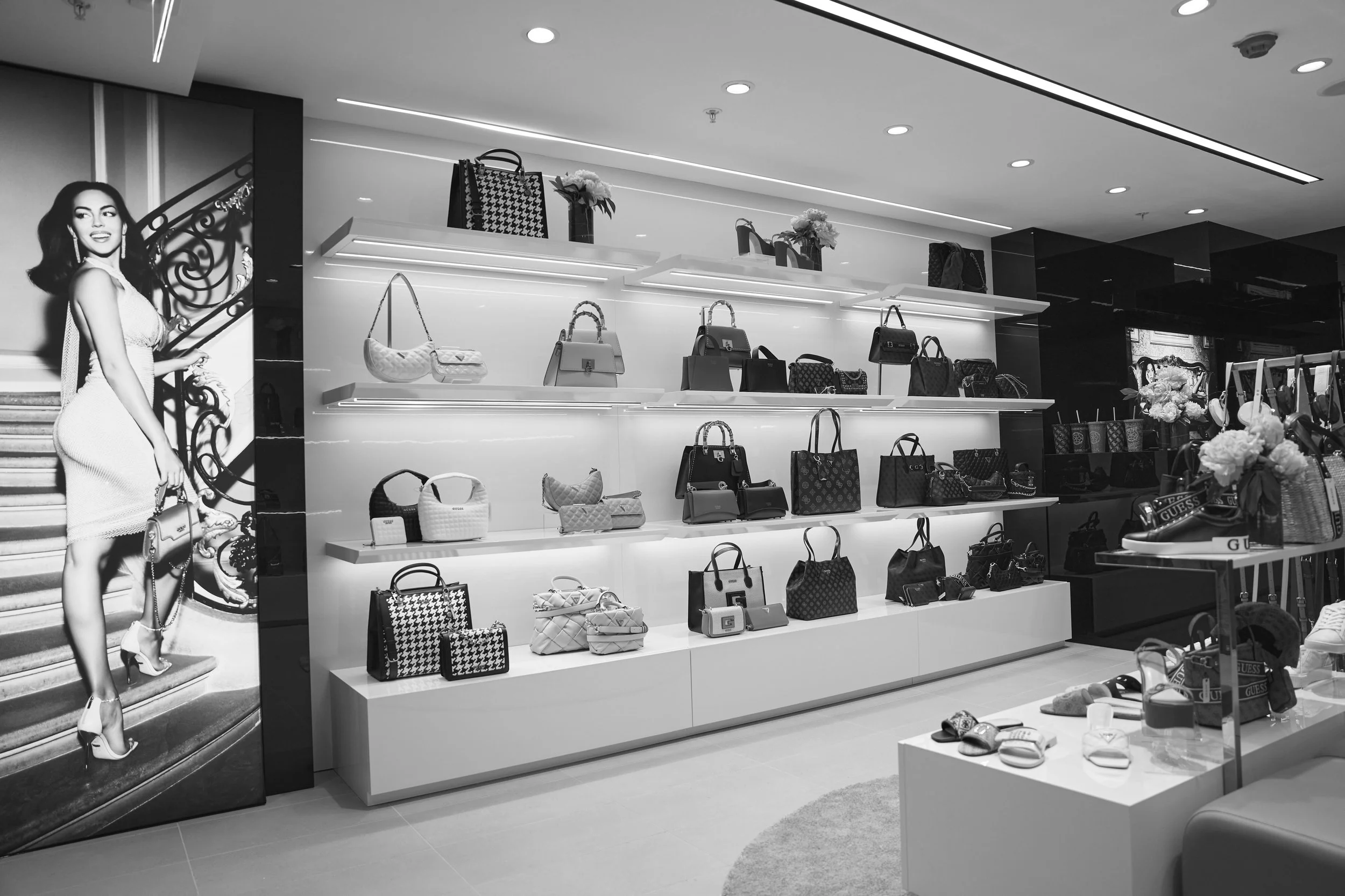 Guess inc qvb studio perry
