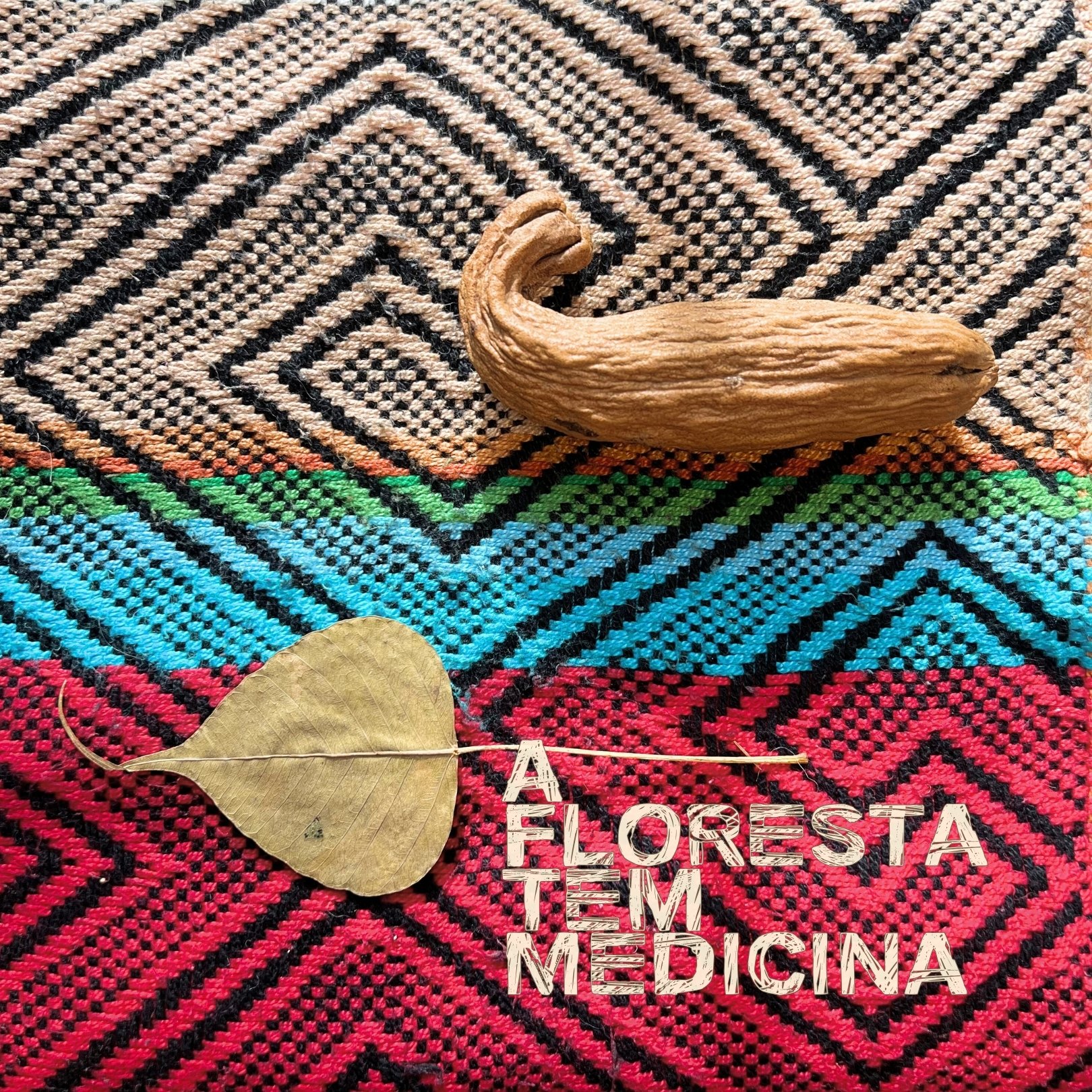 A Floresta Tem Medicina