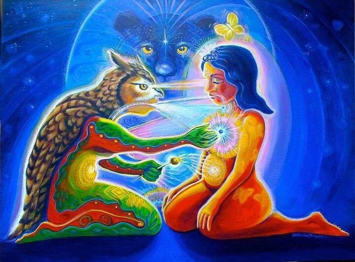 DMT Opens Doors You Can Never Close Again: Be Ready