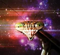 A Space Station Discotheque Experience with DMT 