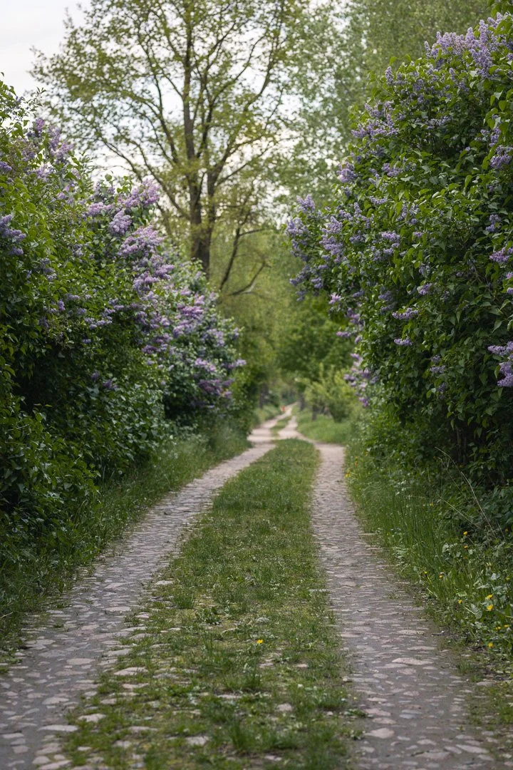 Tantra rebirth - 5 day retreat in Uckermark