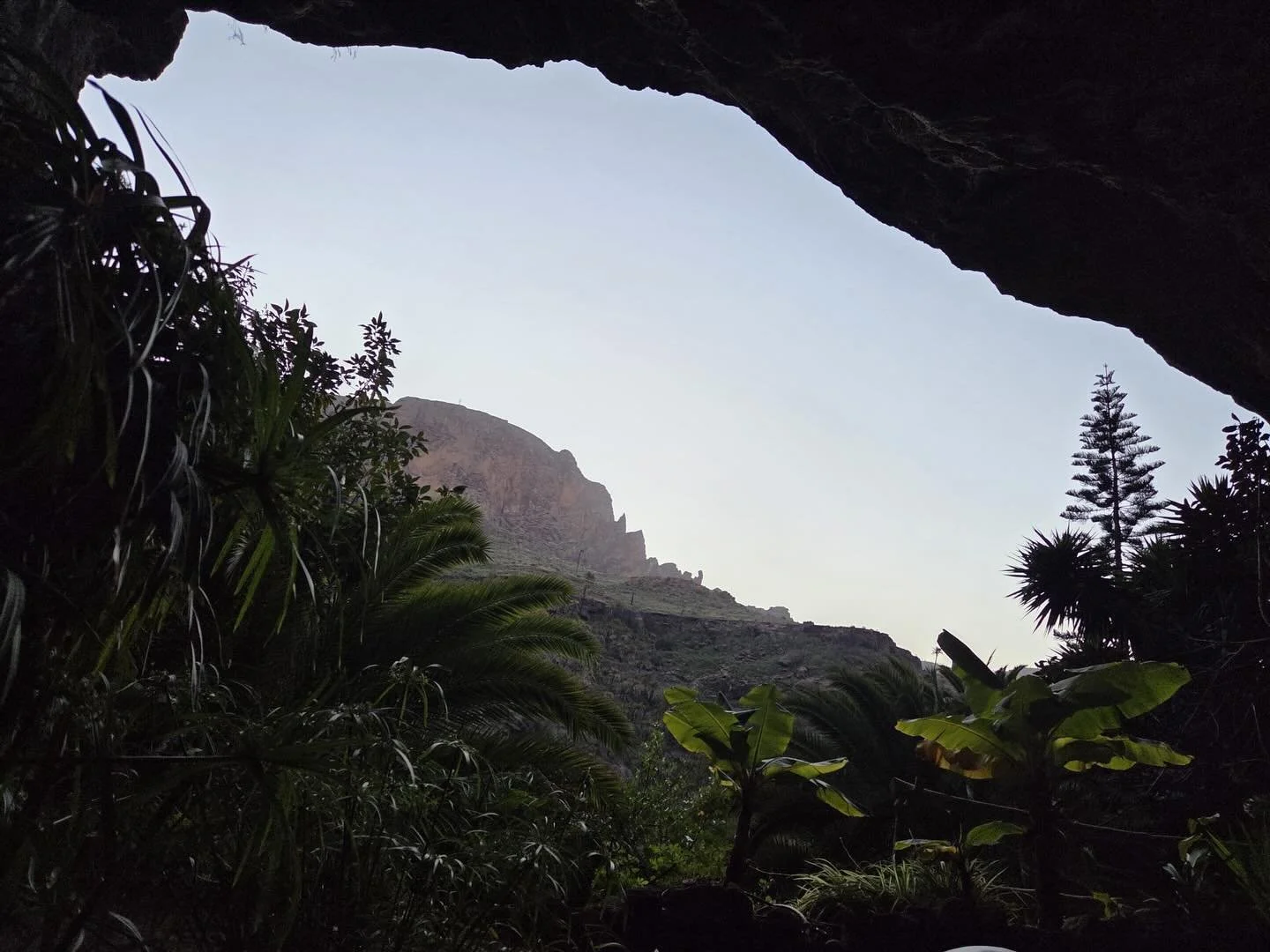 In the darkest hour of the night,
the light shone at its brightest

Is this ecstasy?

My ayuahasaca blog is now live (link in bio- can&rsquo;t help but being old school)

It feels slightly vulnerable to share, but I am open to have a conversation abo