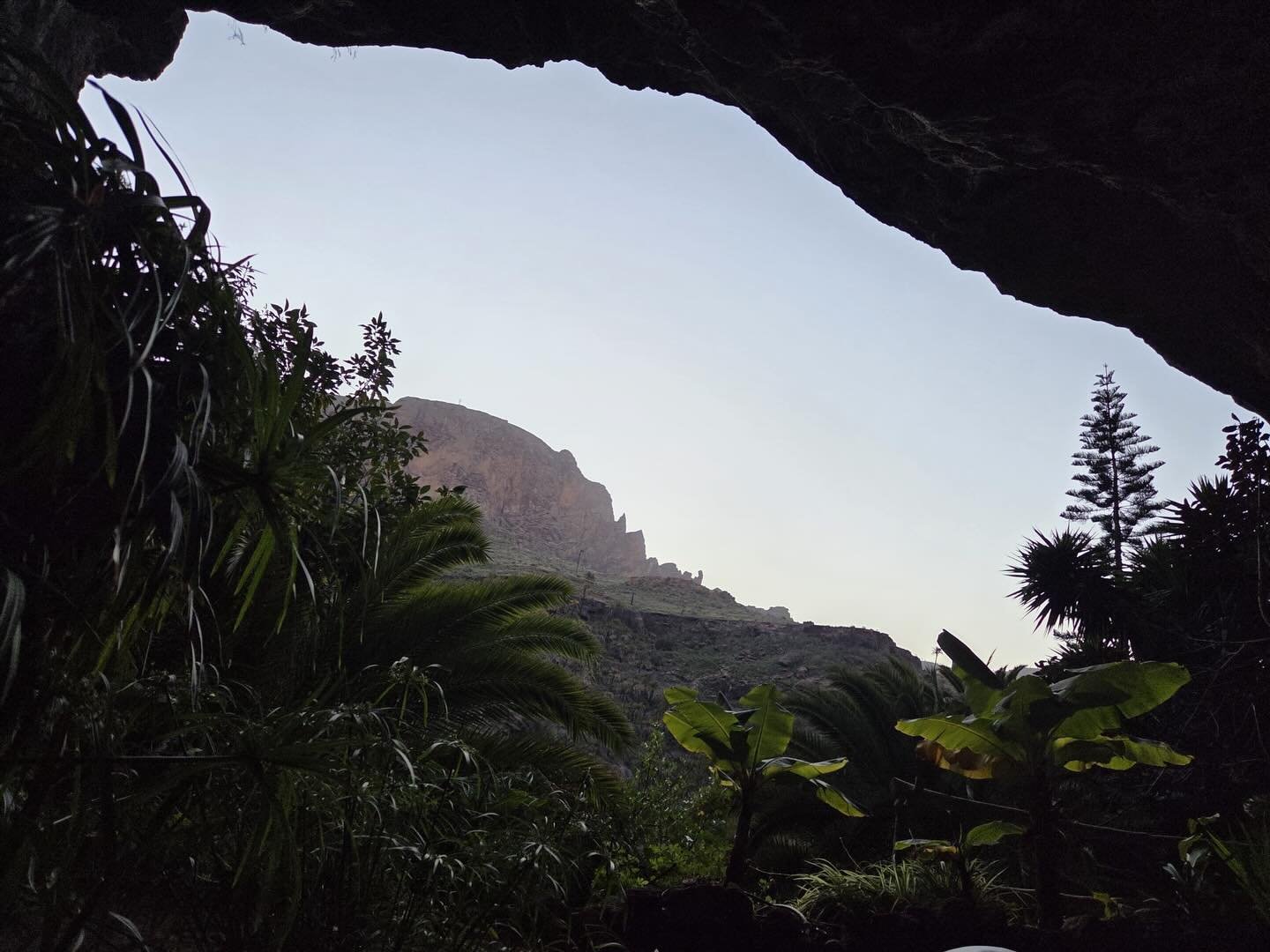 In the darkest hour of the night,
the light shone at its brightest

Is this ecstasy?

My ayahuasca blog is now live (link in bio- can&rsquo;t help but being old school)

It feels slightly vulnerable to share, but I am open to have a conversation abou