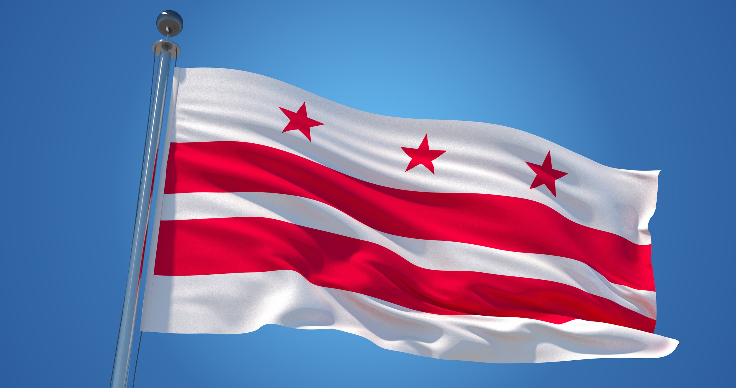 DC Flag.jpeg