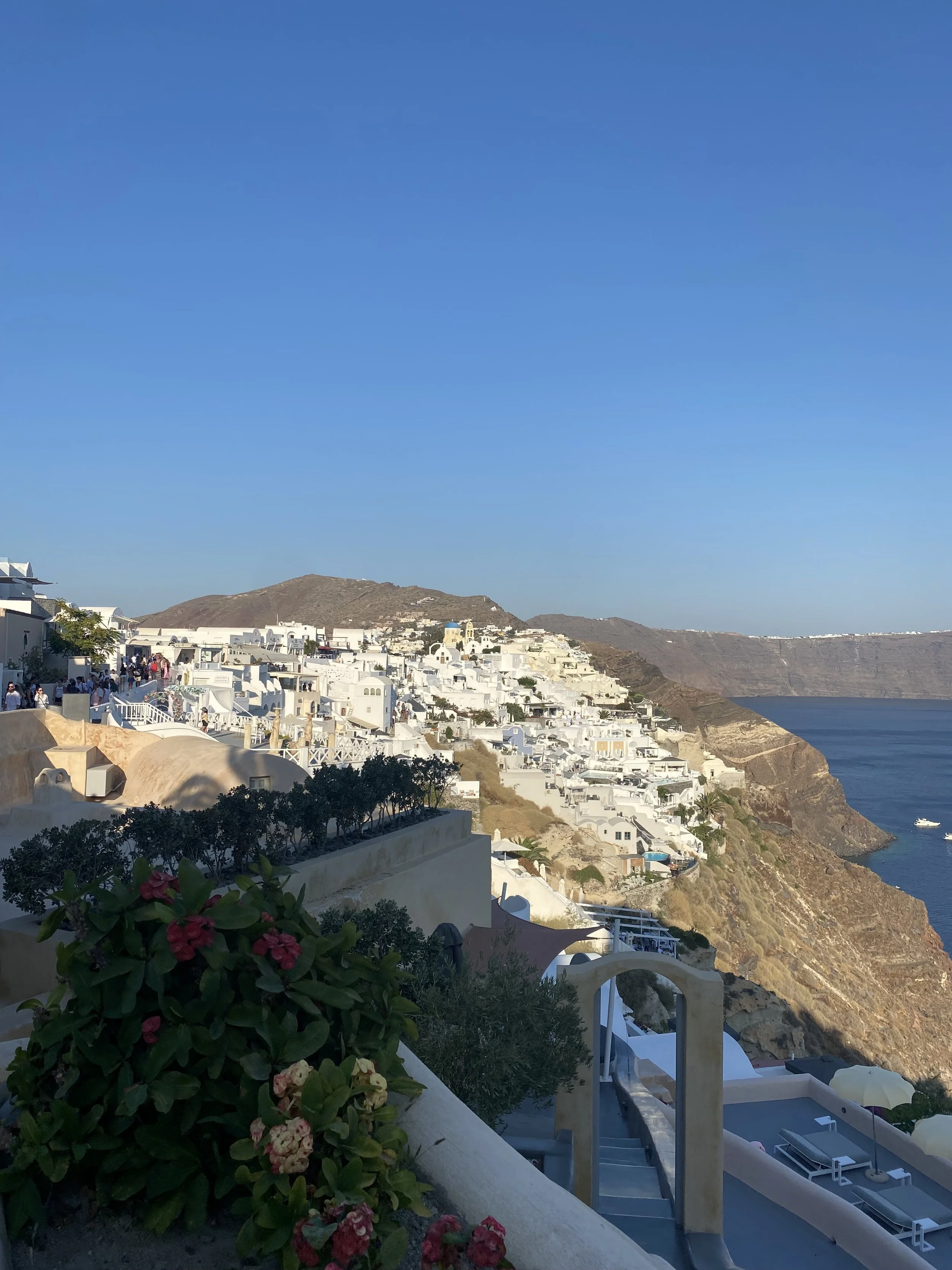 IMG_8626.jpeg