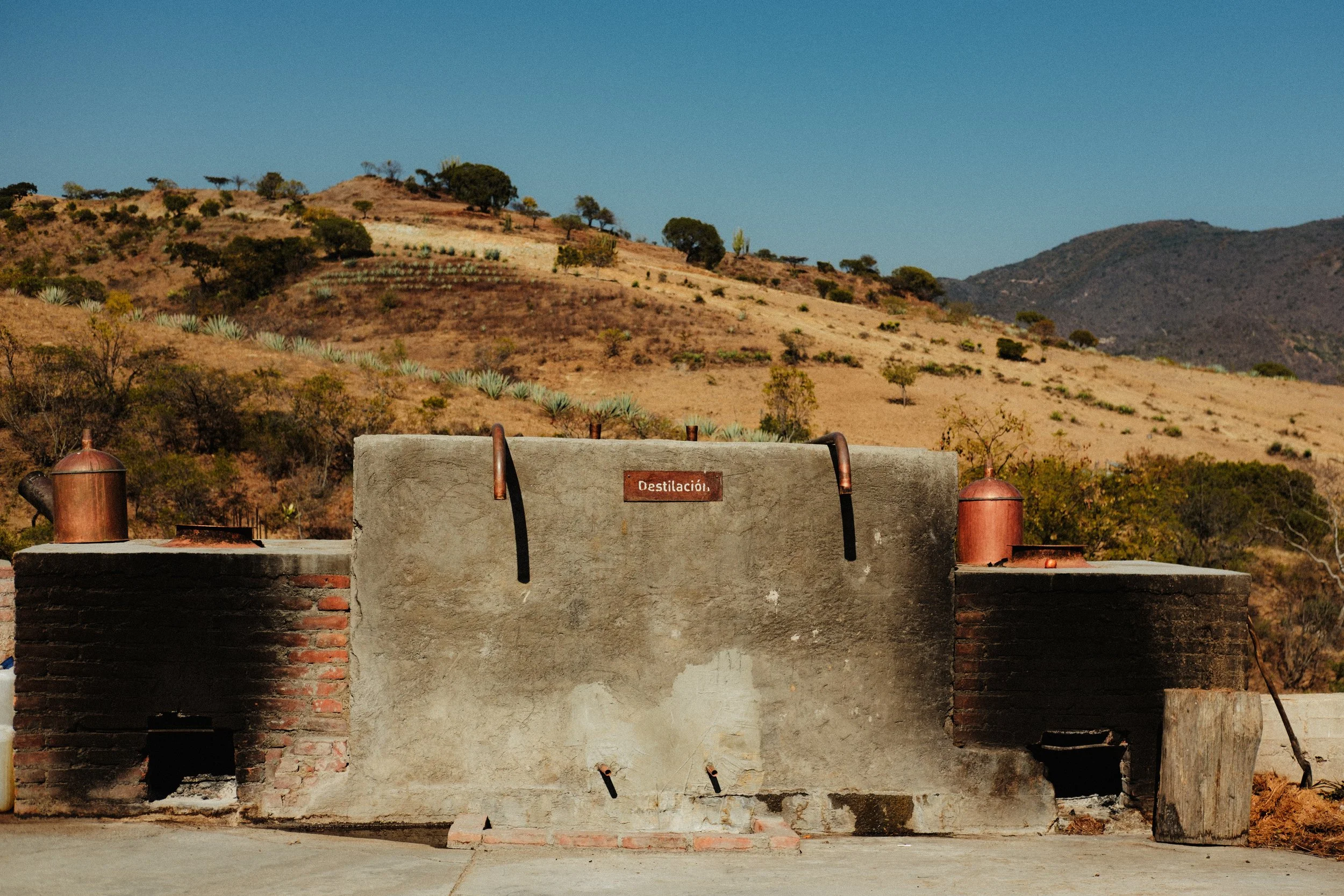 260103_MEZCAL-CONVITE_0176.jpg