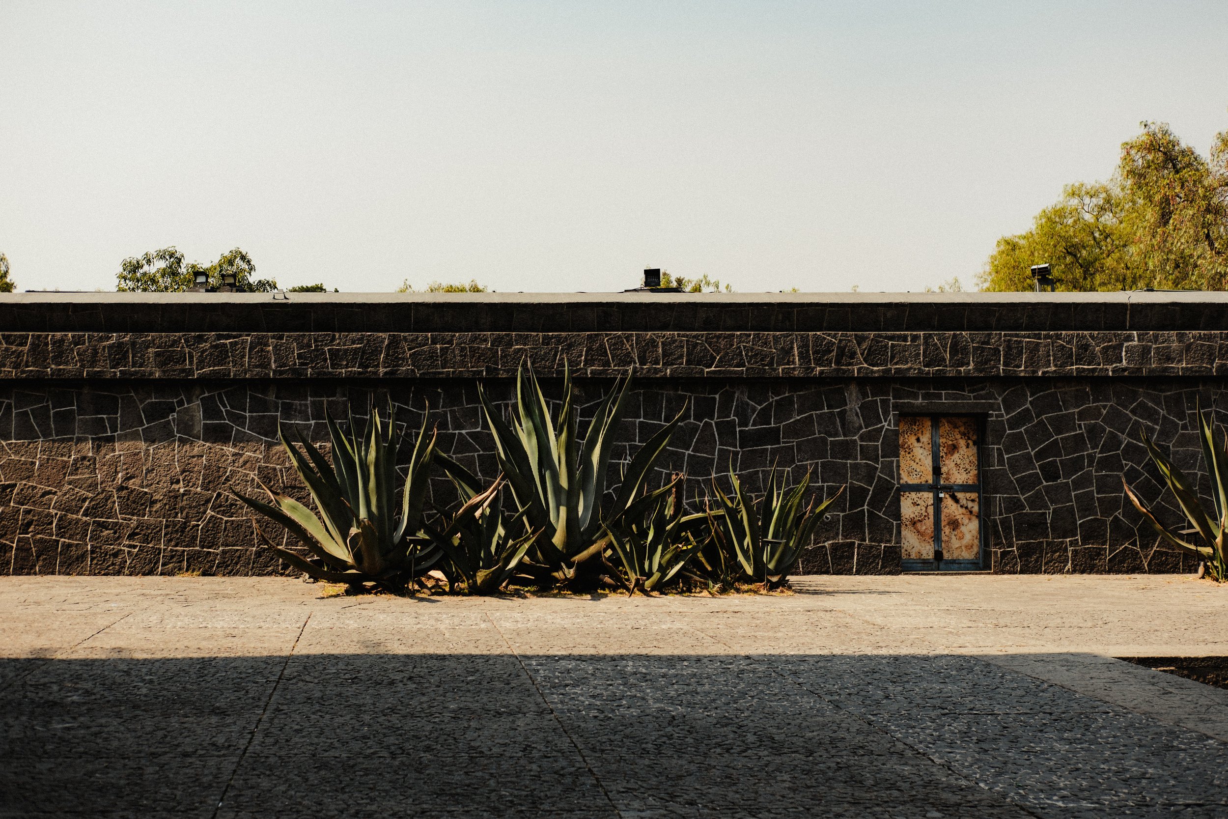 260110_CDMX-MUSEO-ANAHUACALLI_014.jpg