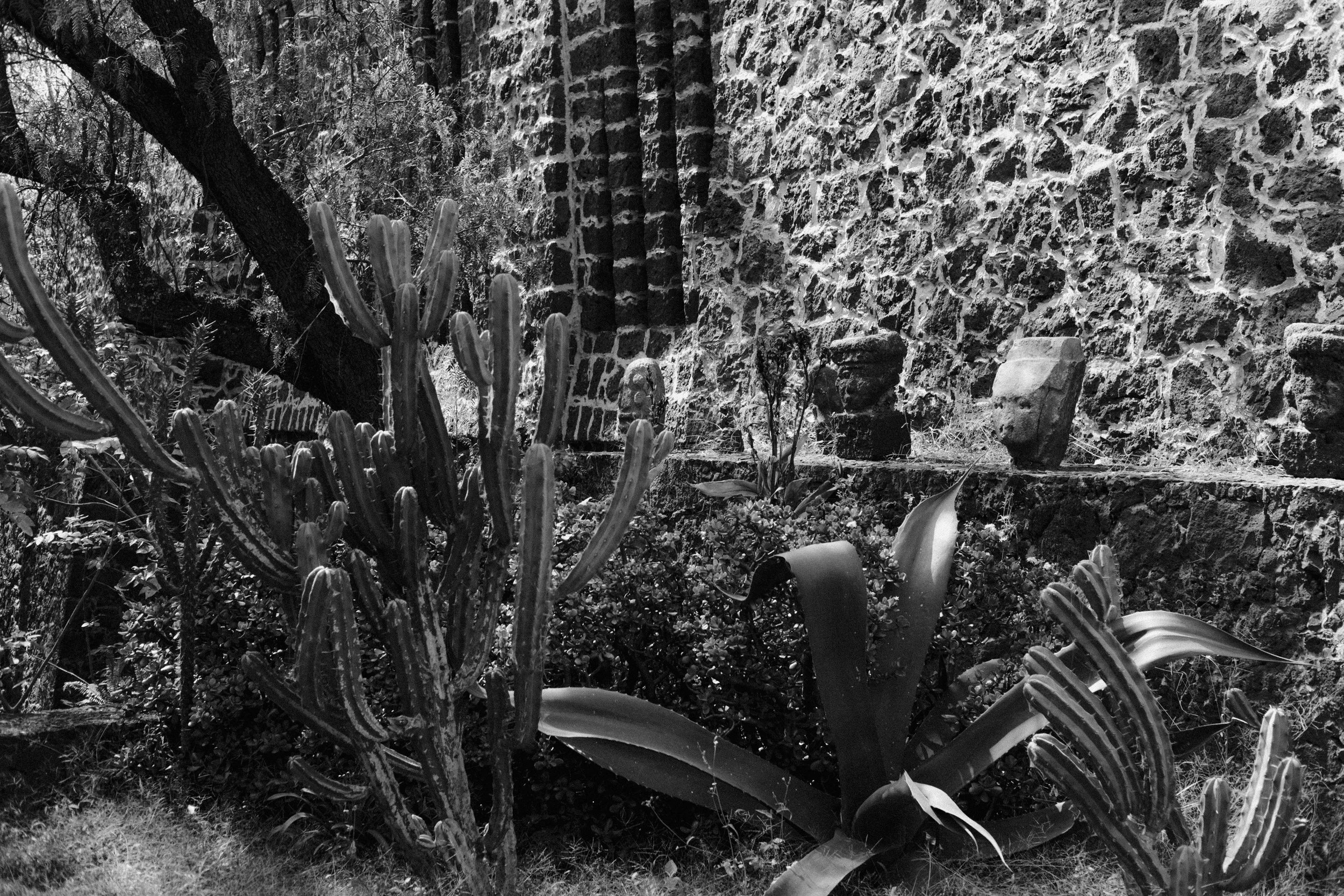 260110_CDMX-MUSEO-ANAHUACALLI_011.jpg