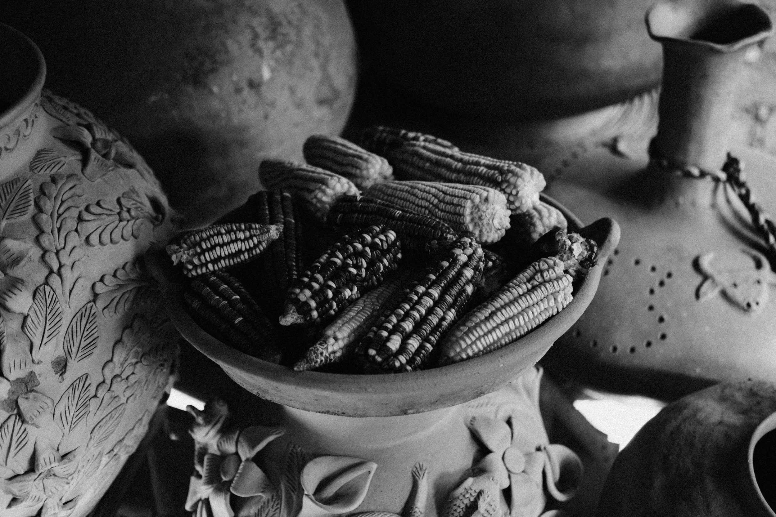 ALFONSINA COCINA