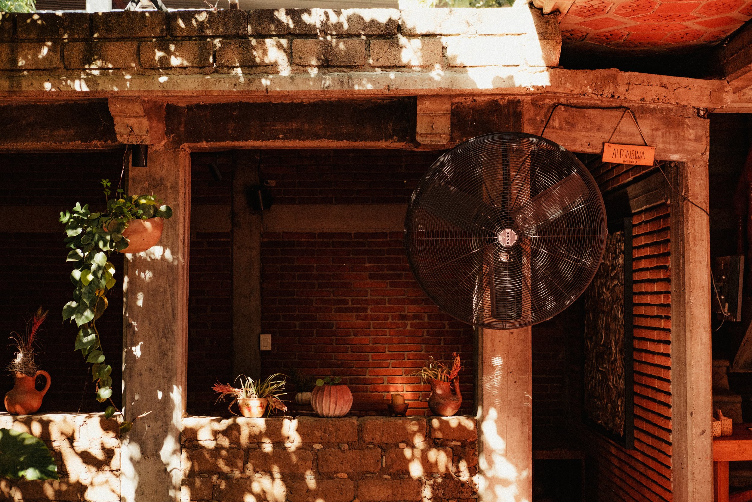 260104_ALFONSINA-COCINA_014.jpg
