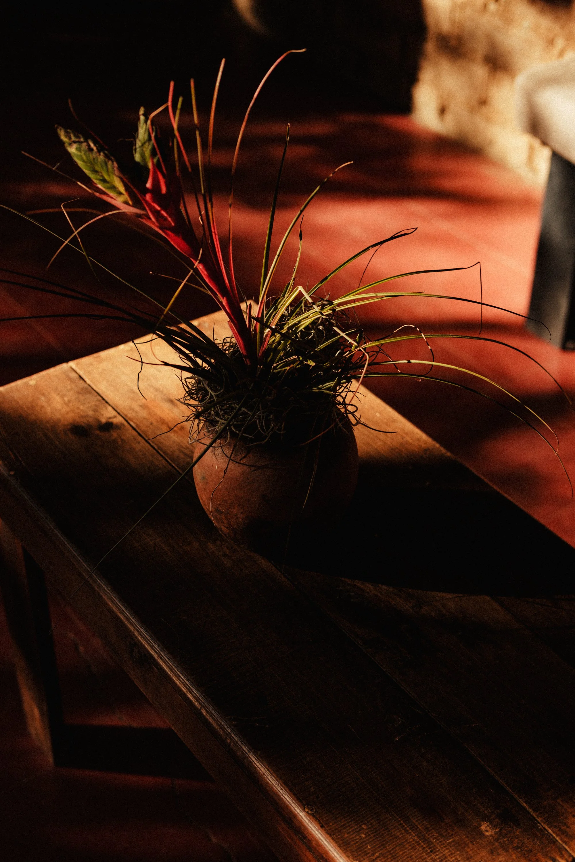 260104_ALFONSINA-COCINA_030.jpg