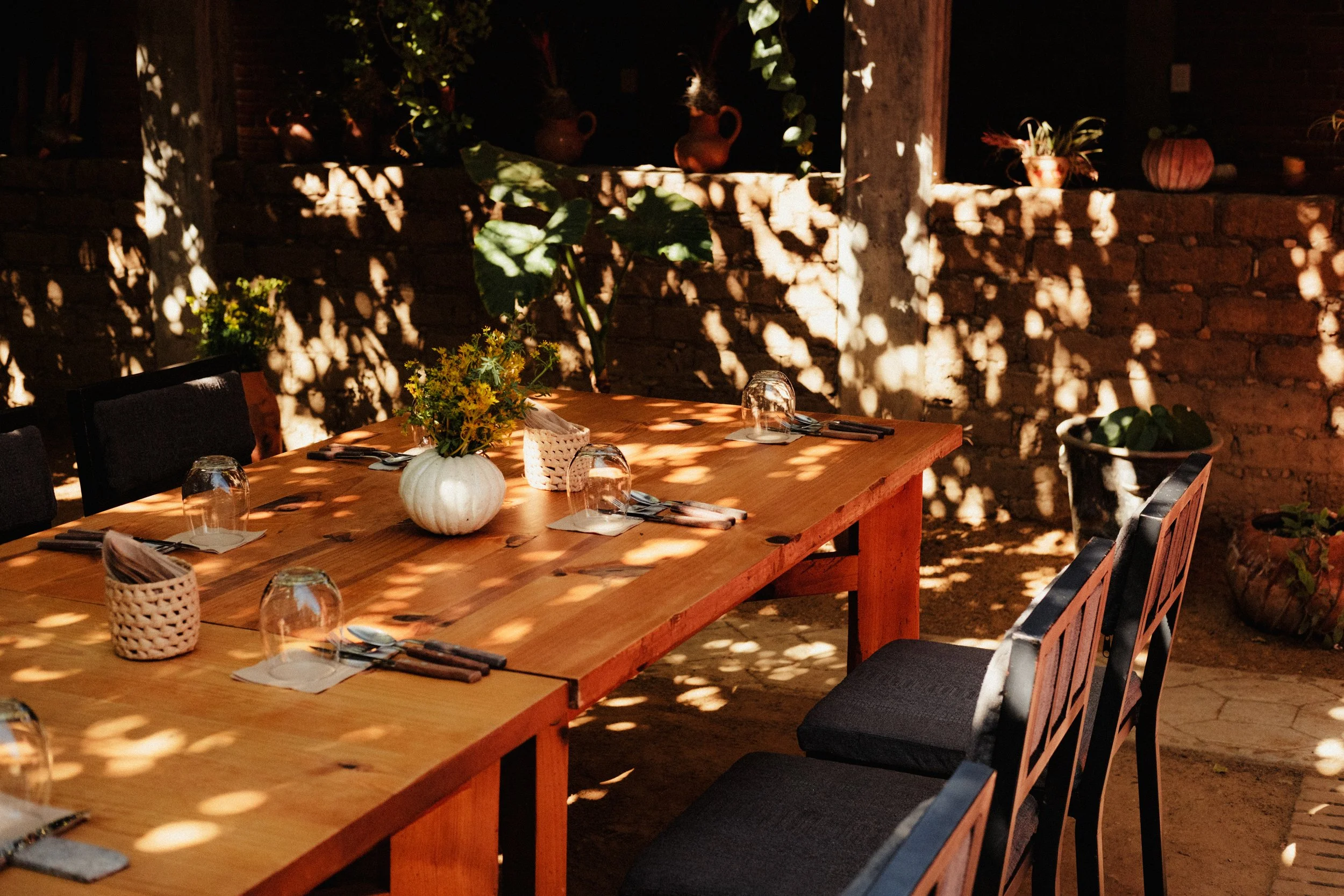 260104_ALFONSINA-COCINA_012.jpg
