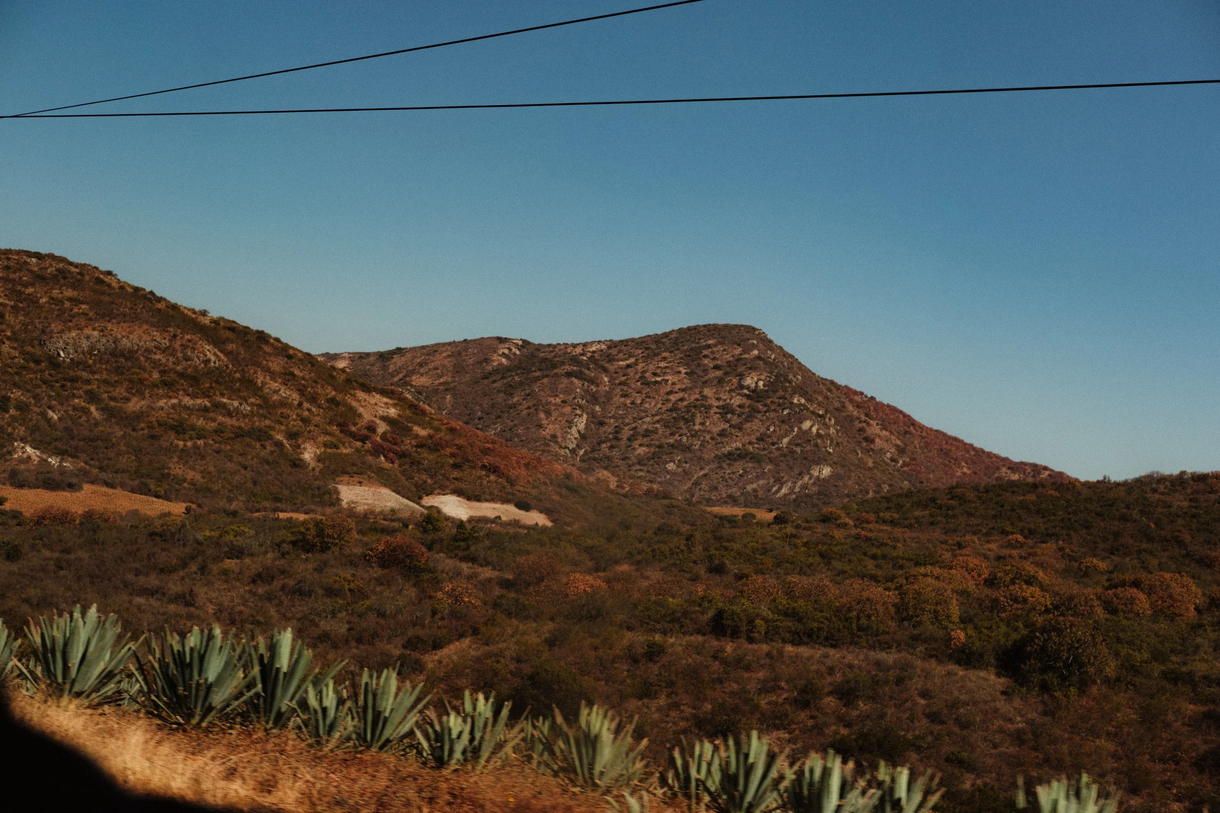 260103_MEZCAL-CONVITE_016.jpg