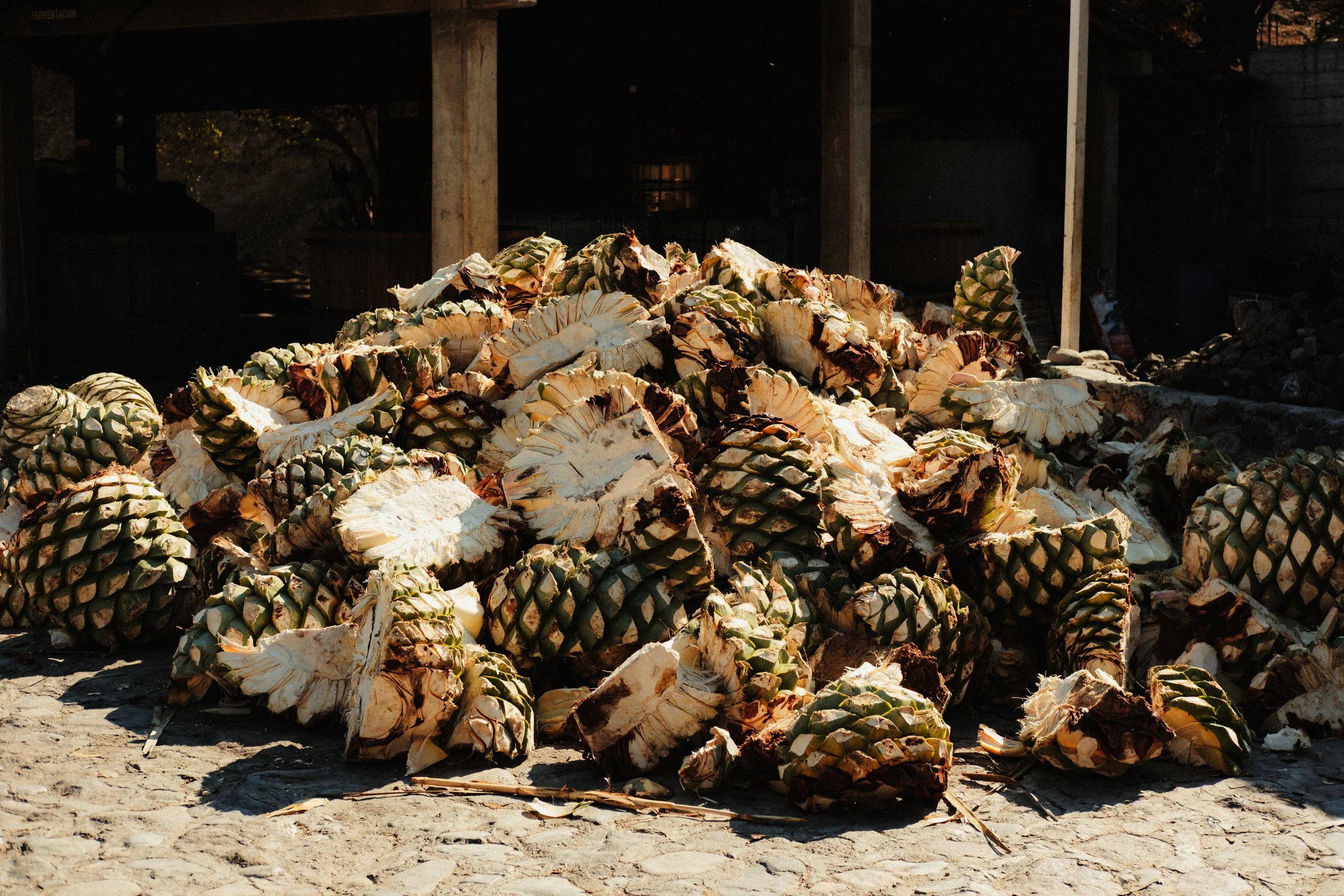 260103_MEZCAL-CONVITE_0154.jpg