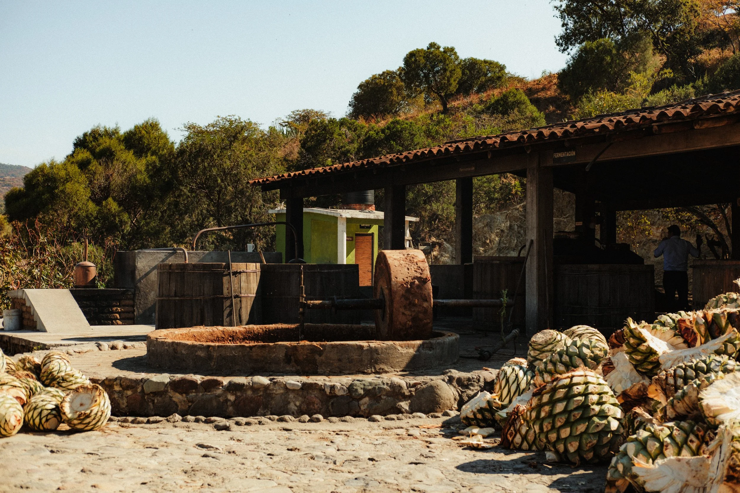 260103_MEZCAL-CONVITE_0158.jpg